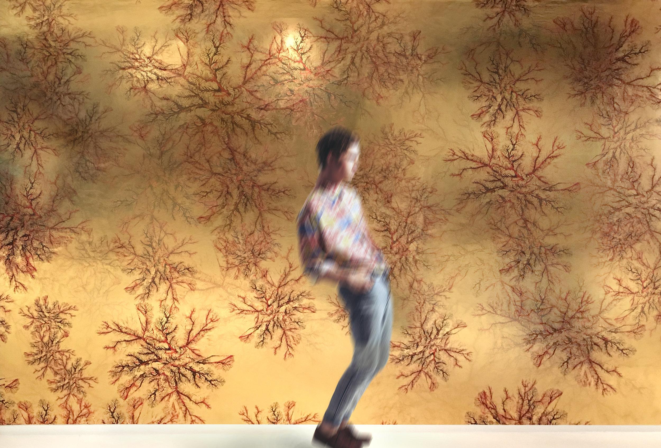 2500x1694 EDGE Collections EDGE Collections HOME Luxury Wallpaper Coverings, Tiles, Textiles