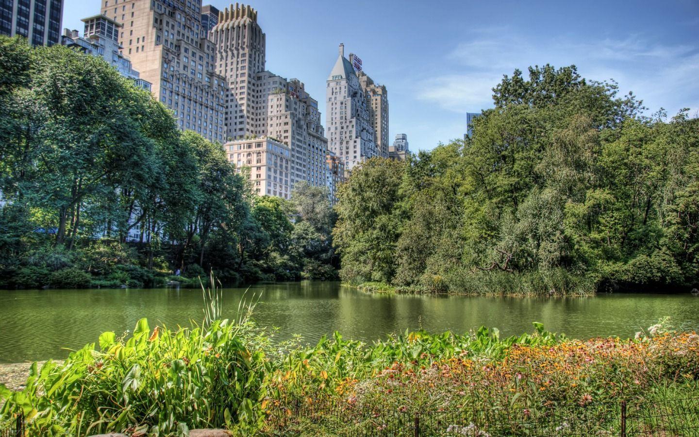 1440x900 Central Park Wallpaper HD