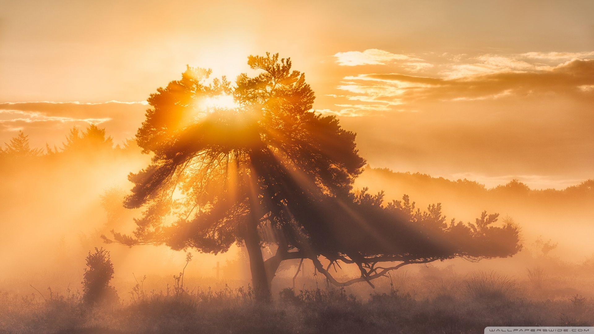 1920x1080 Sun Wallpaper