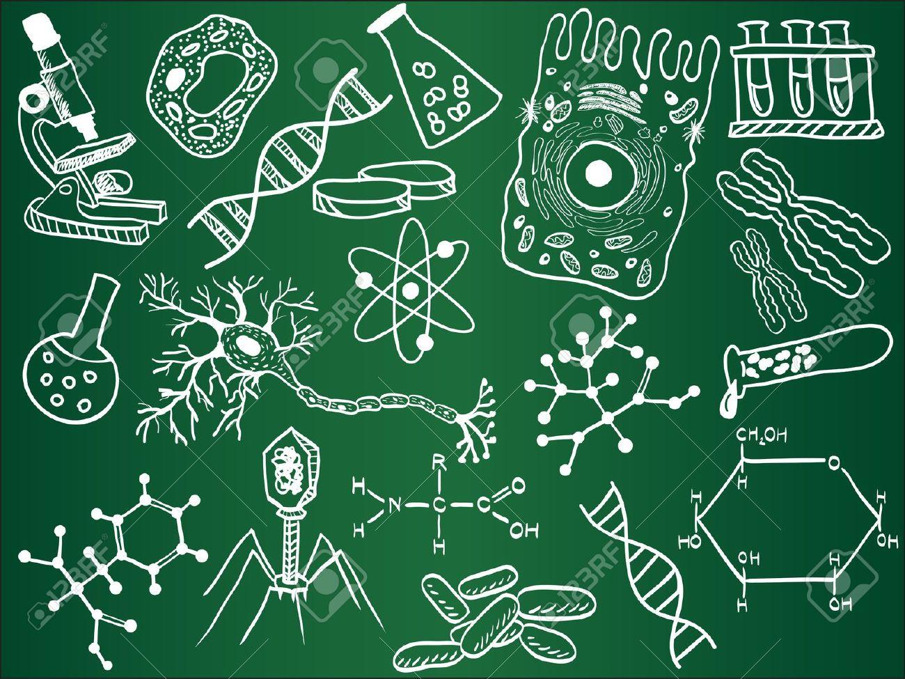 1300x975 Biology Wallpaper Golden as gold mine & Green as leaf