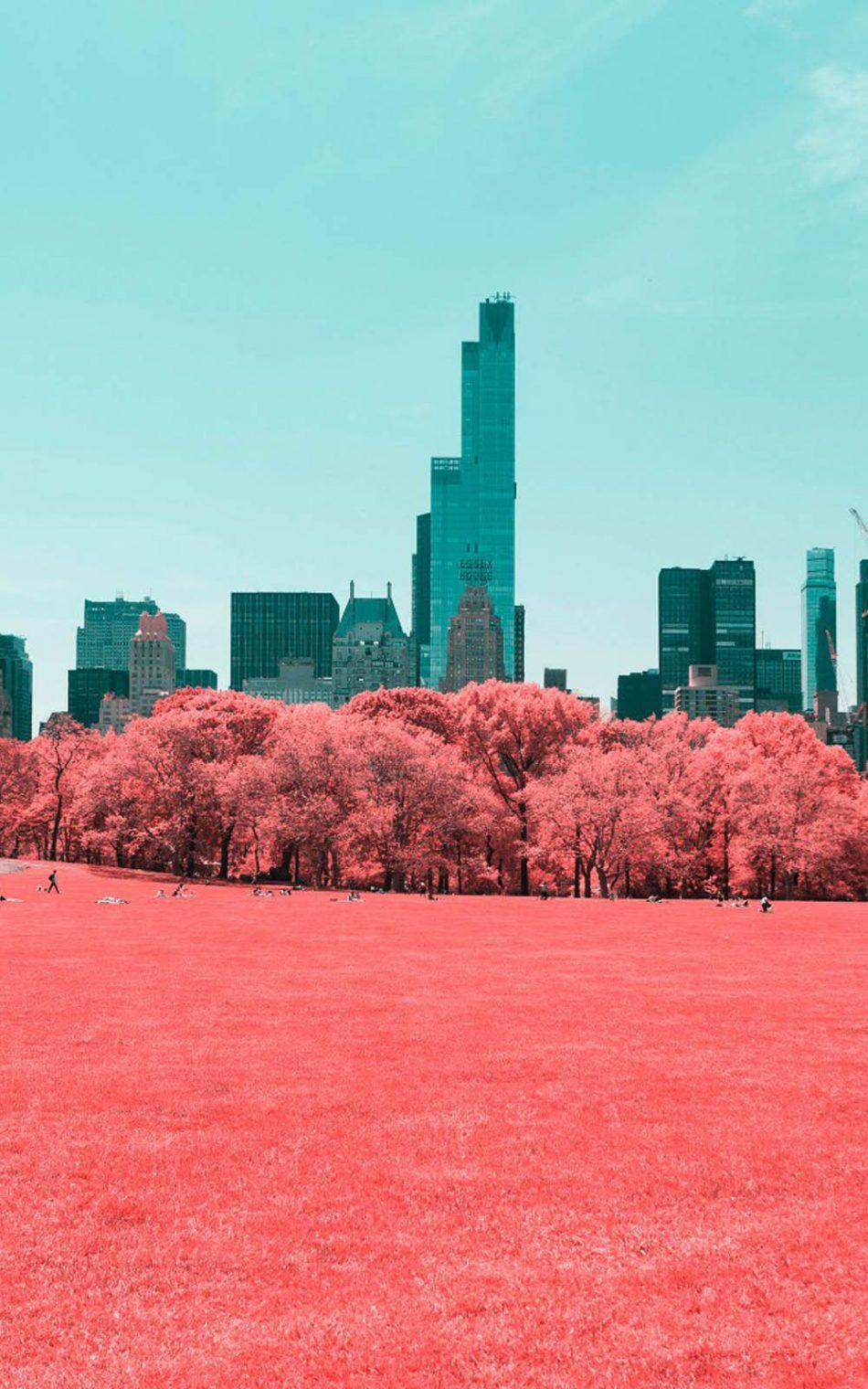 950x1520 NYC Central Park Infrared Click 4K Ultra HD Mobile Wallpaper
