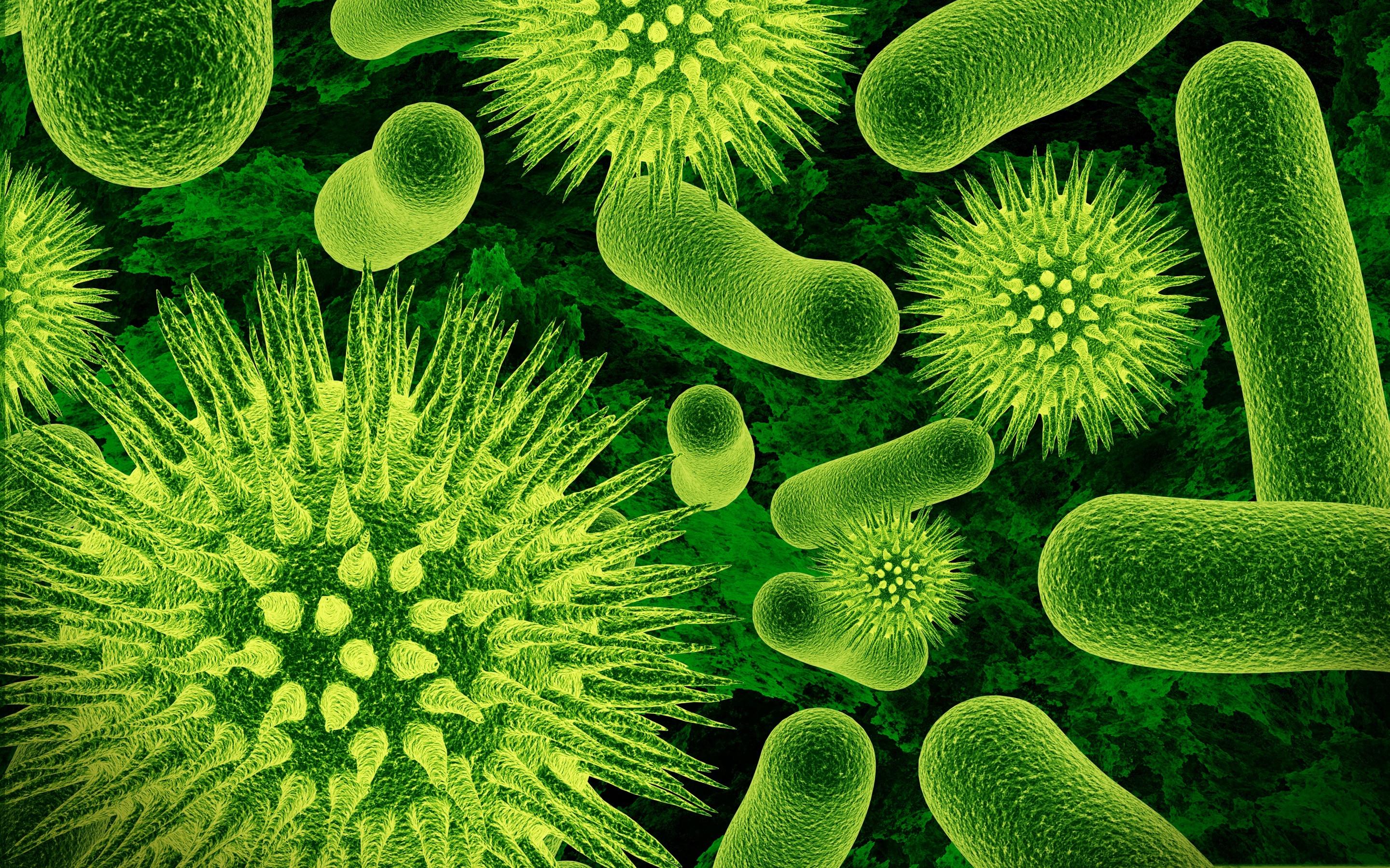 2880x1800 Download wallpaper bacteria, microscope, green microorganisms, biology, science concepts for desktop with resolution 2880x1800. High Quality HD picture wallpaper