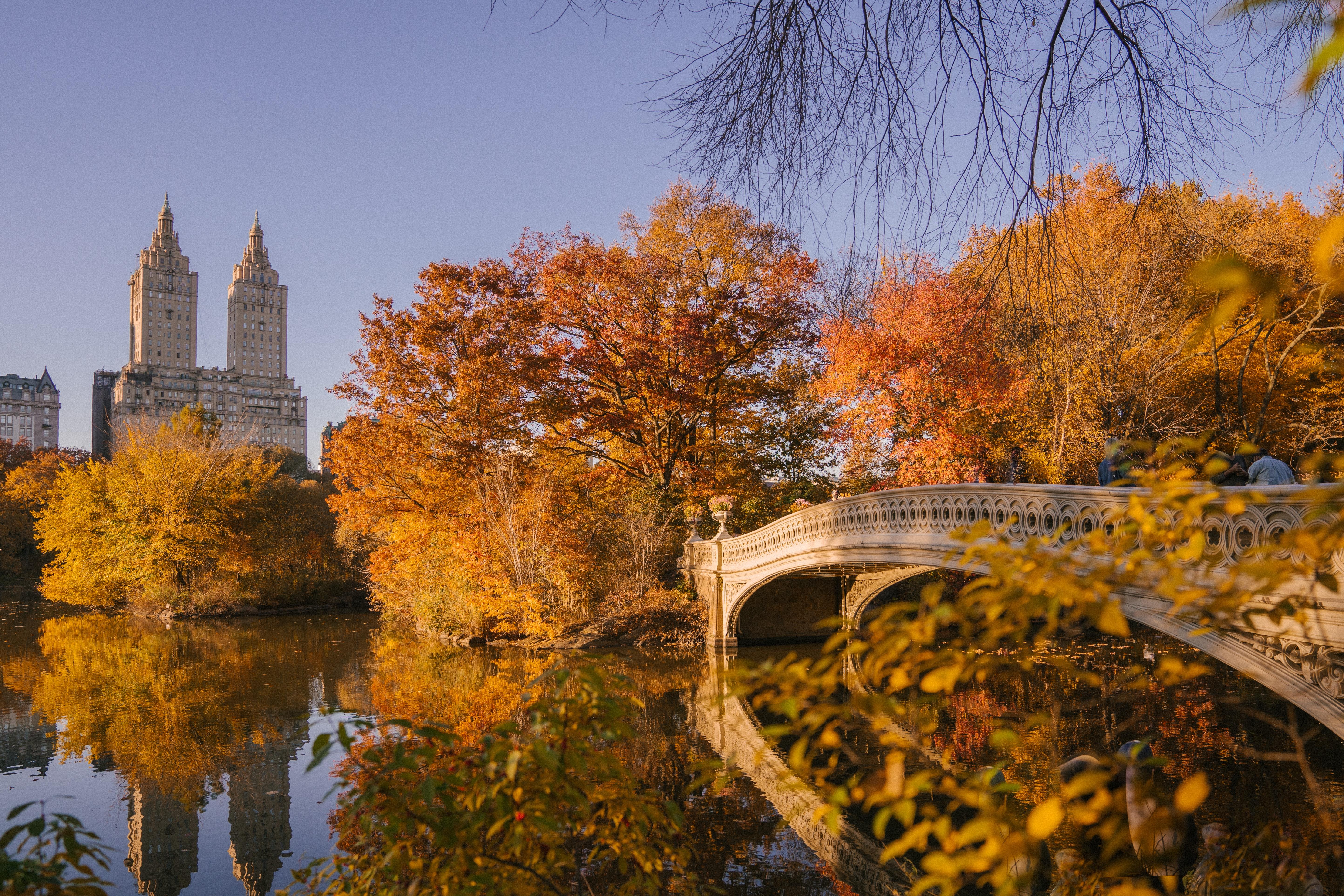5774x3849 Best Free Central Park & Image · 100% Royalty Free HD Downloads