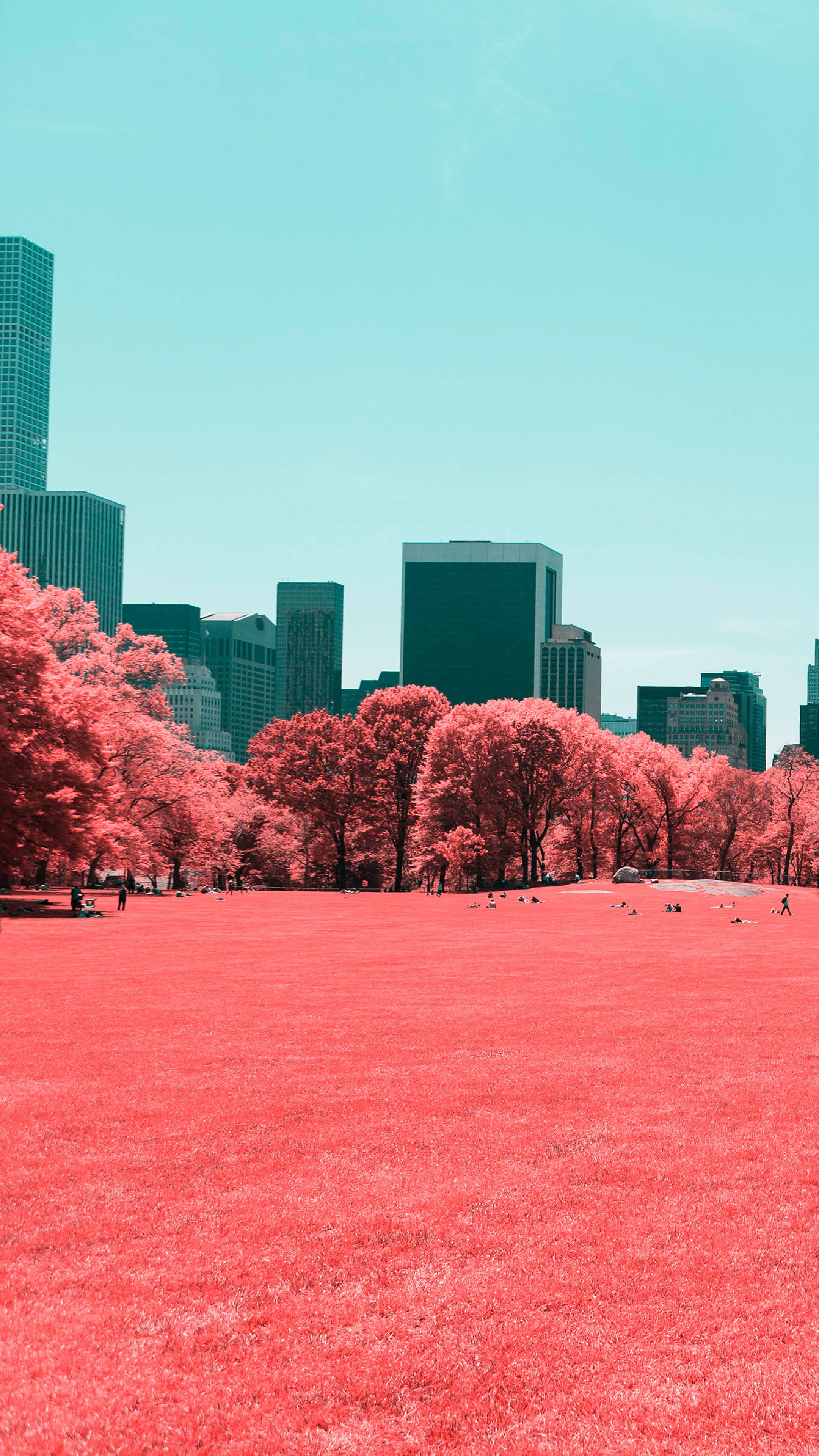 2160x3840 NYC Central Park Infrared Sony Xperia X, XZ, Z5 Premium Wallpaper, HD City 4K Wallpaper, Image, Photo and Background