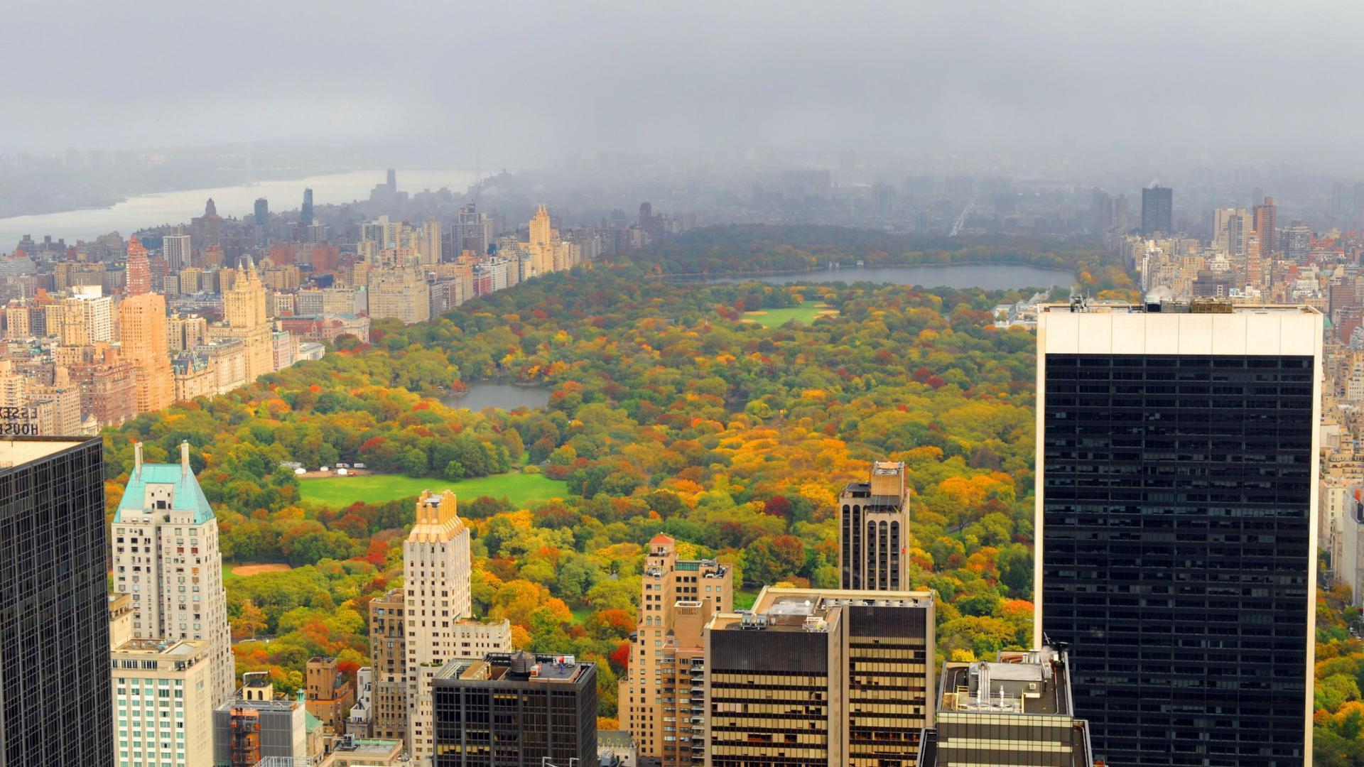 1920x1080 Central Park Wallpaper. HD Background Image. Photo