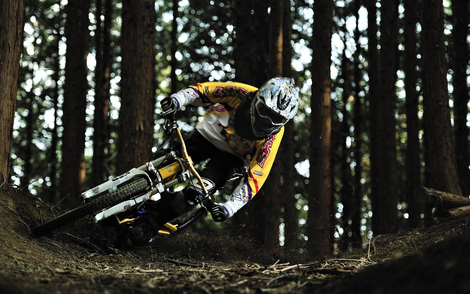 1920x1200 Free download mountain biking mountain bikes 2559x1599 wallpaper Art HD Wallpaper [1920x1200] for your Desktop, Mobile & Tablet. Explore Mountain Bike Wallpaper High Resolution. Bicycle Wallpaper, Mountain Biking Desktop Wallpaper