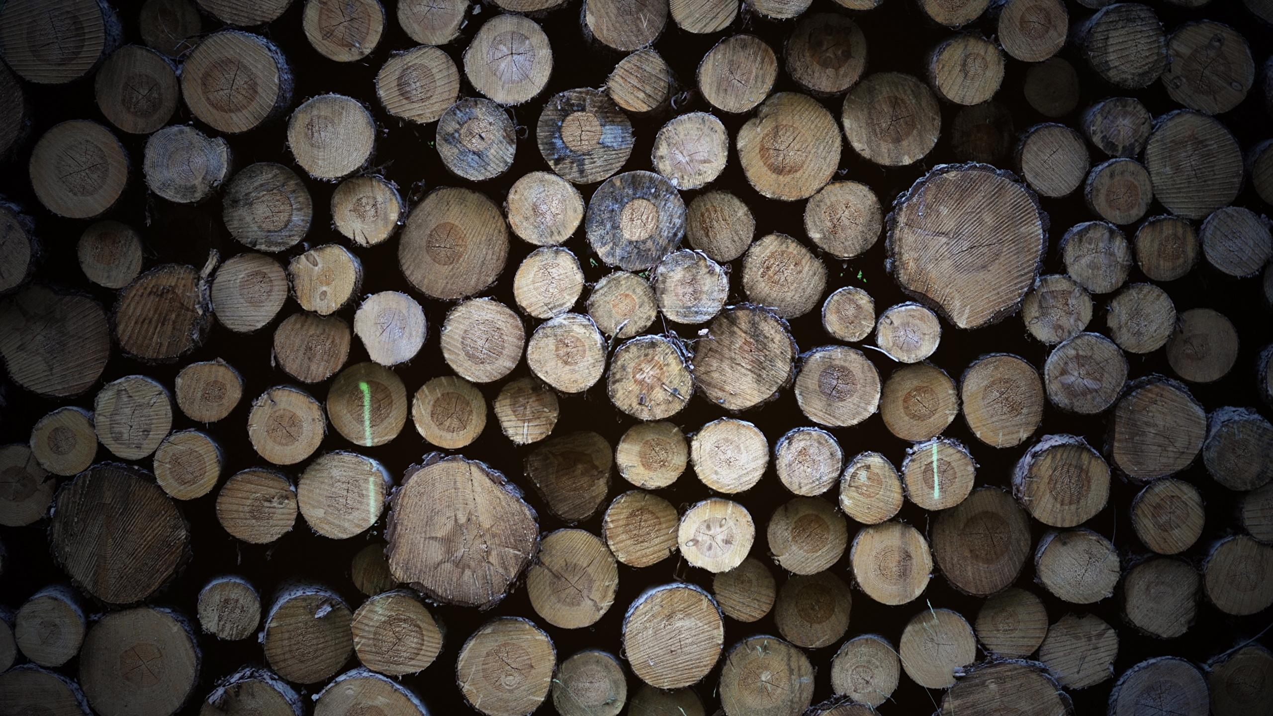 2560x1440 Photo Wood log Texture Wooden 2560x1440