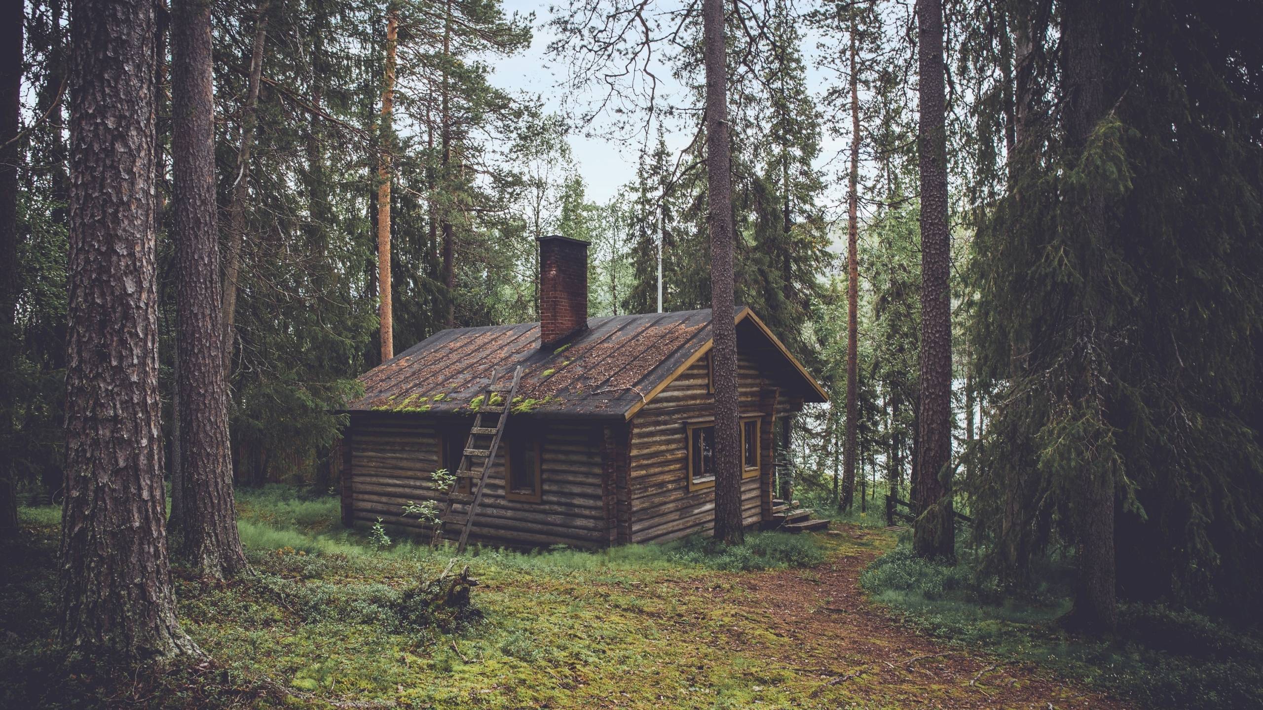 2560x1440 wood, house, summer 1440P Resolution Wallpaper, HD Nature 4K Wallpaper, Image, Photo and Background