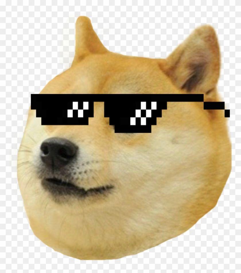 840x952 Find HD Thug Life Meme Dog, Png Download, Transparent Png. To search and download more free transparent png image. Thug life funny, Thug life meme, Thug life