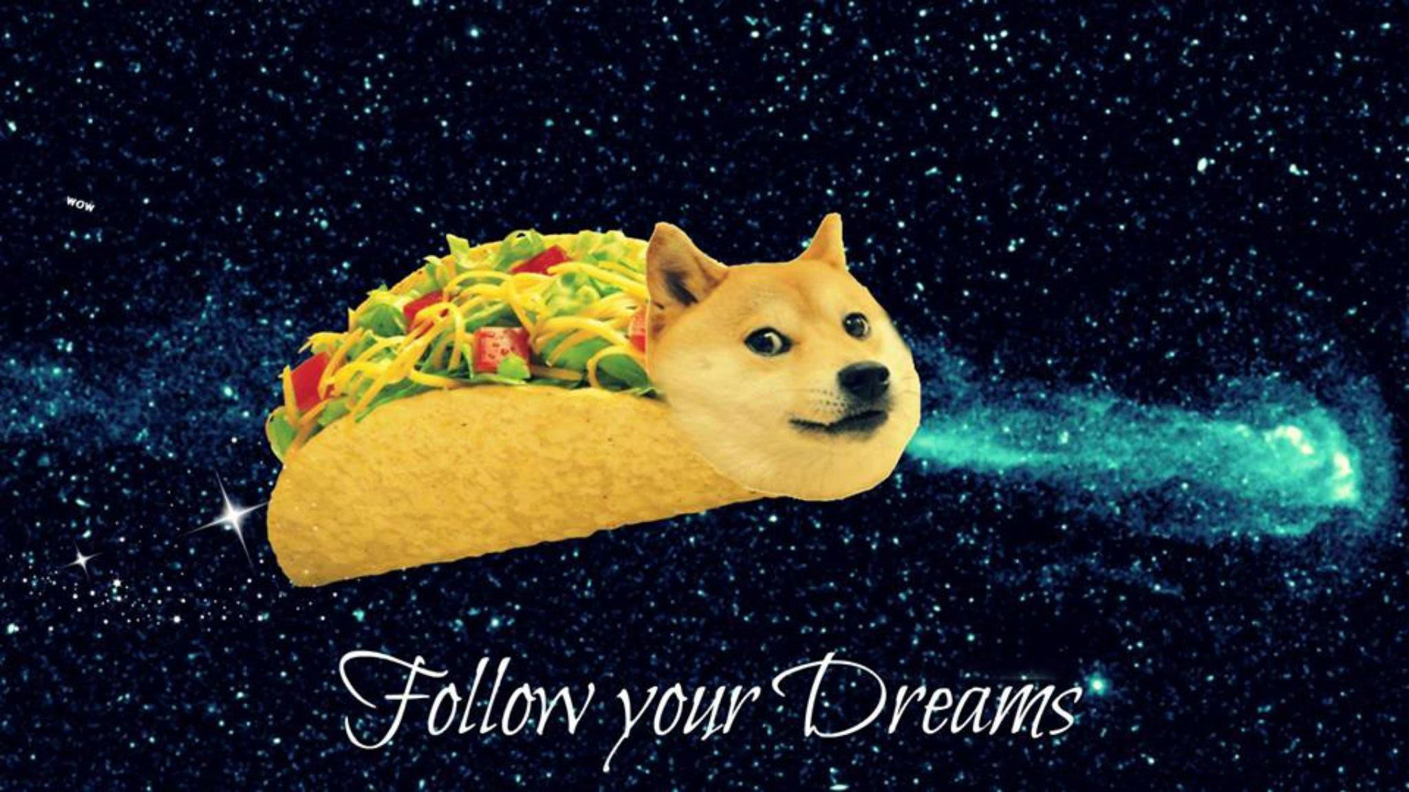 2048x1152 Doge Wallpaper
