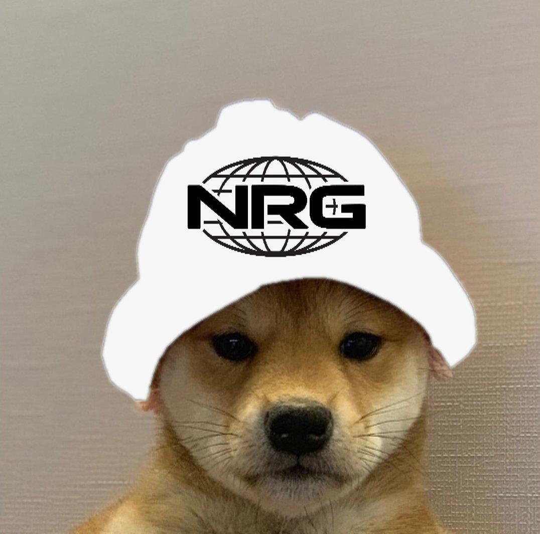 1076x1064 NRG Dogwifhat. Dogwifhat. Dog image, Cute dog wallpaper, Dog icon
