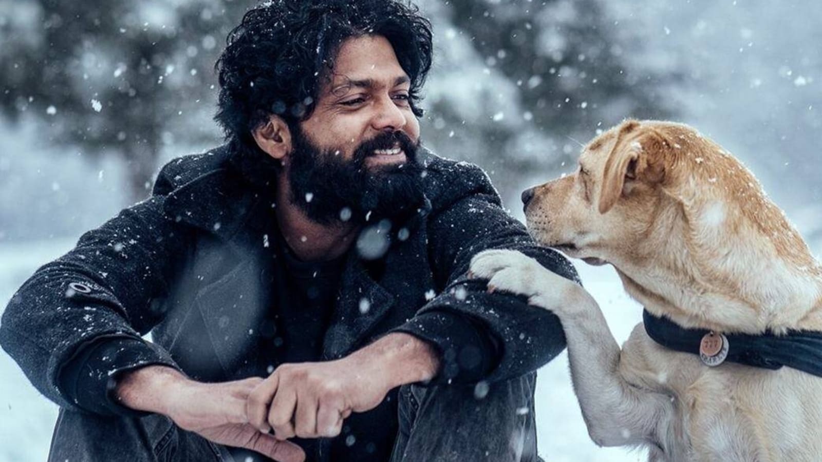 1600x900 Charlie review: Rakshit Shetty's film is a moving tale of companionship