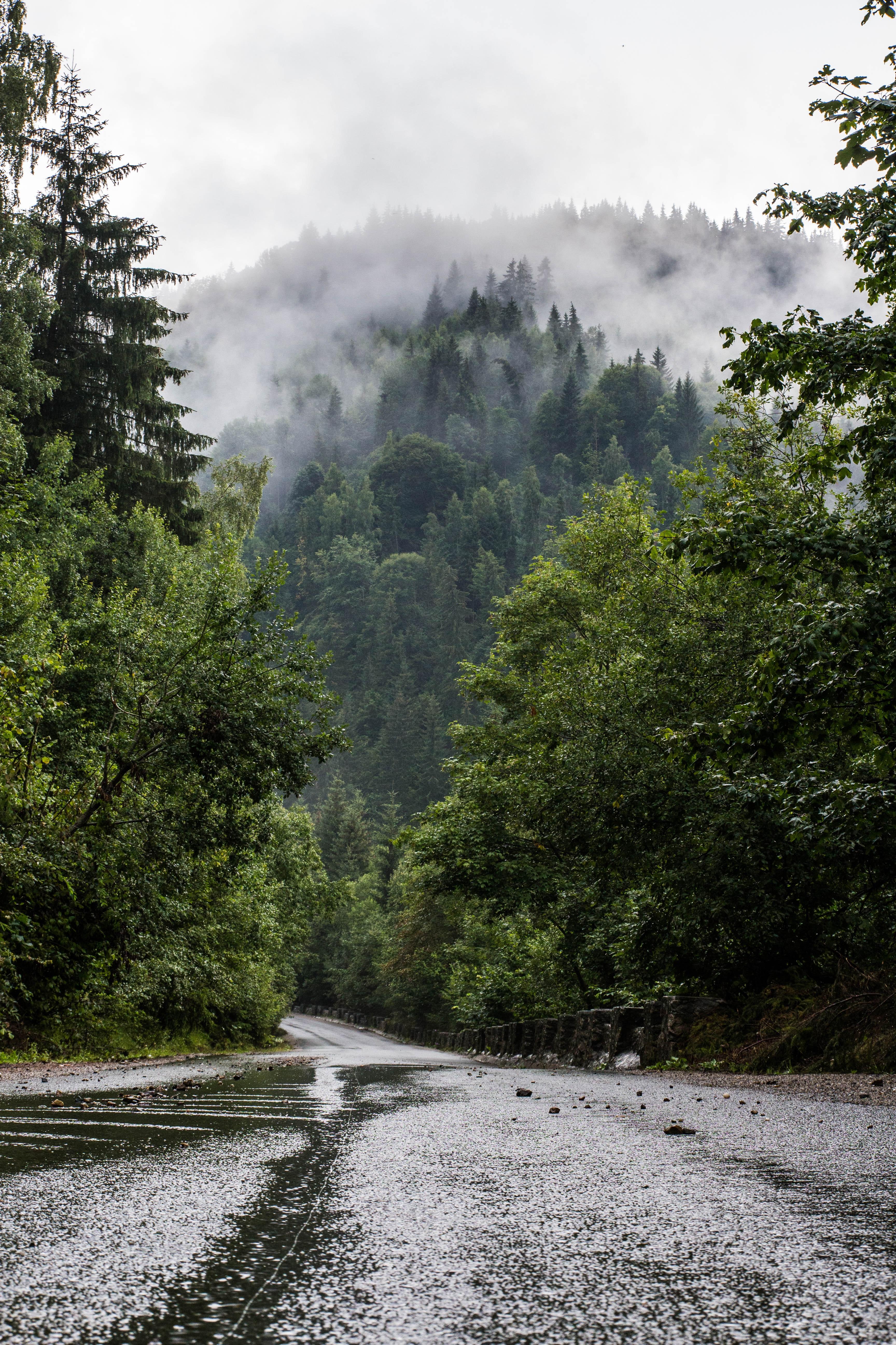 3456x5184 Best Free Wet Road & Image · 100% Royalty Free HD Downloads