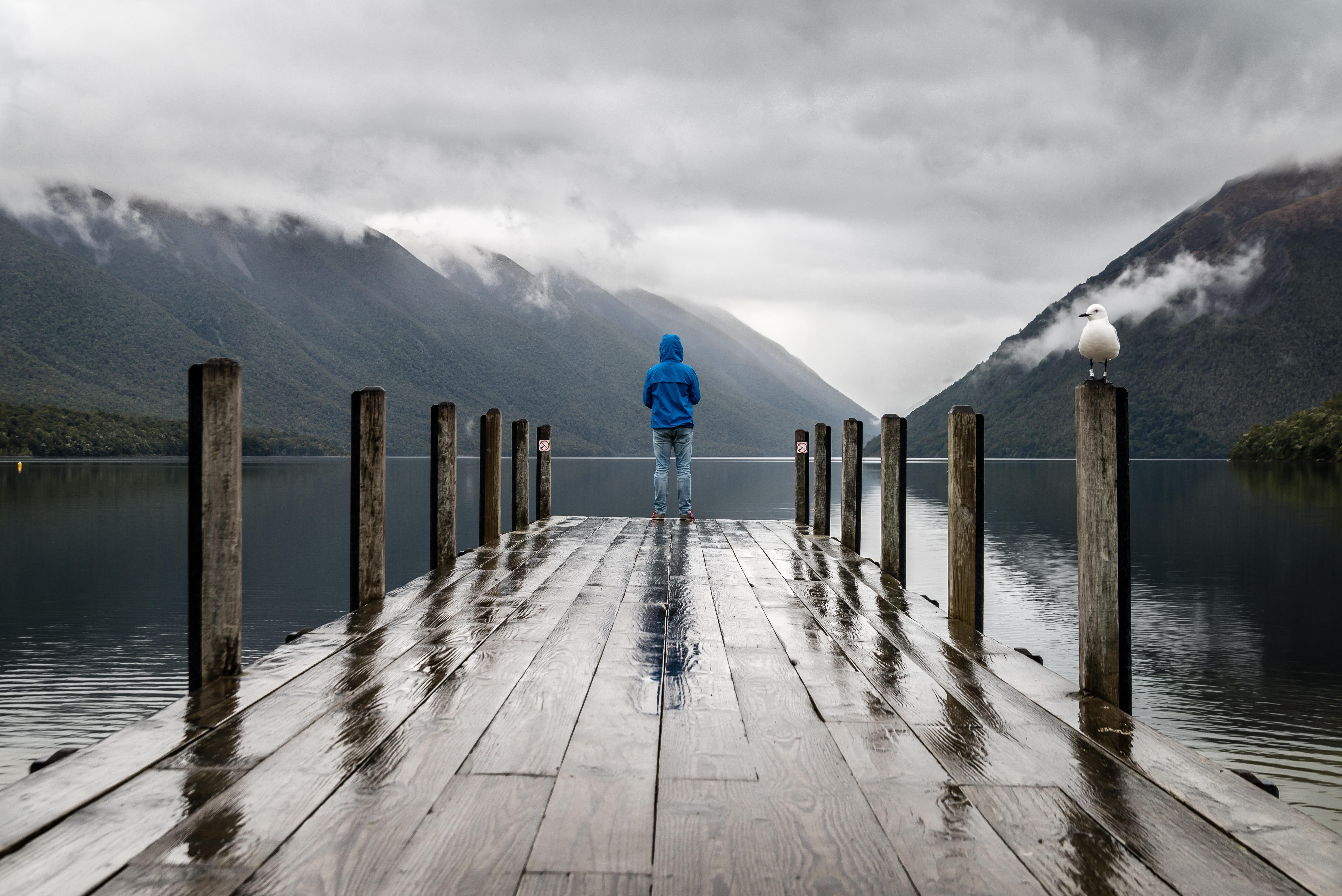 6004x4008 Best Free Rain Background & Image · 100% Royalty Free HD Downloads