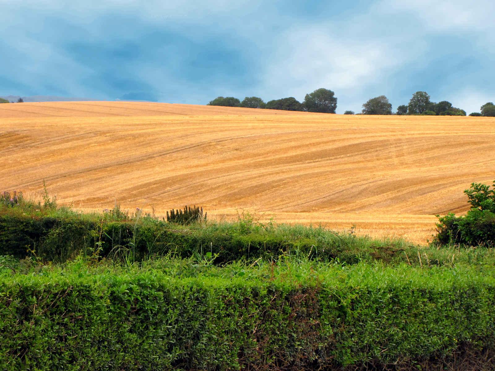 1600x1200 Elevation of Rathcool, Co. Cork, Ireland
