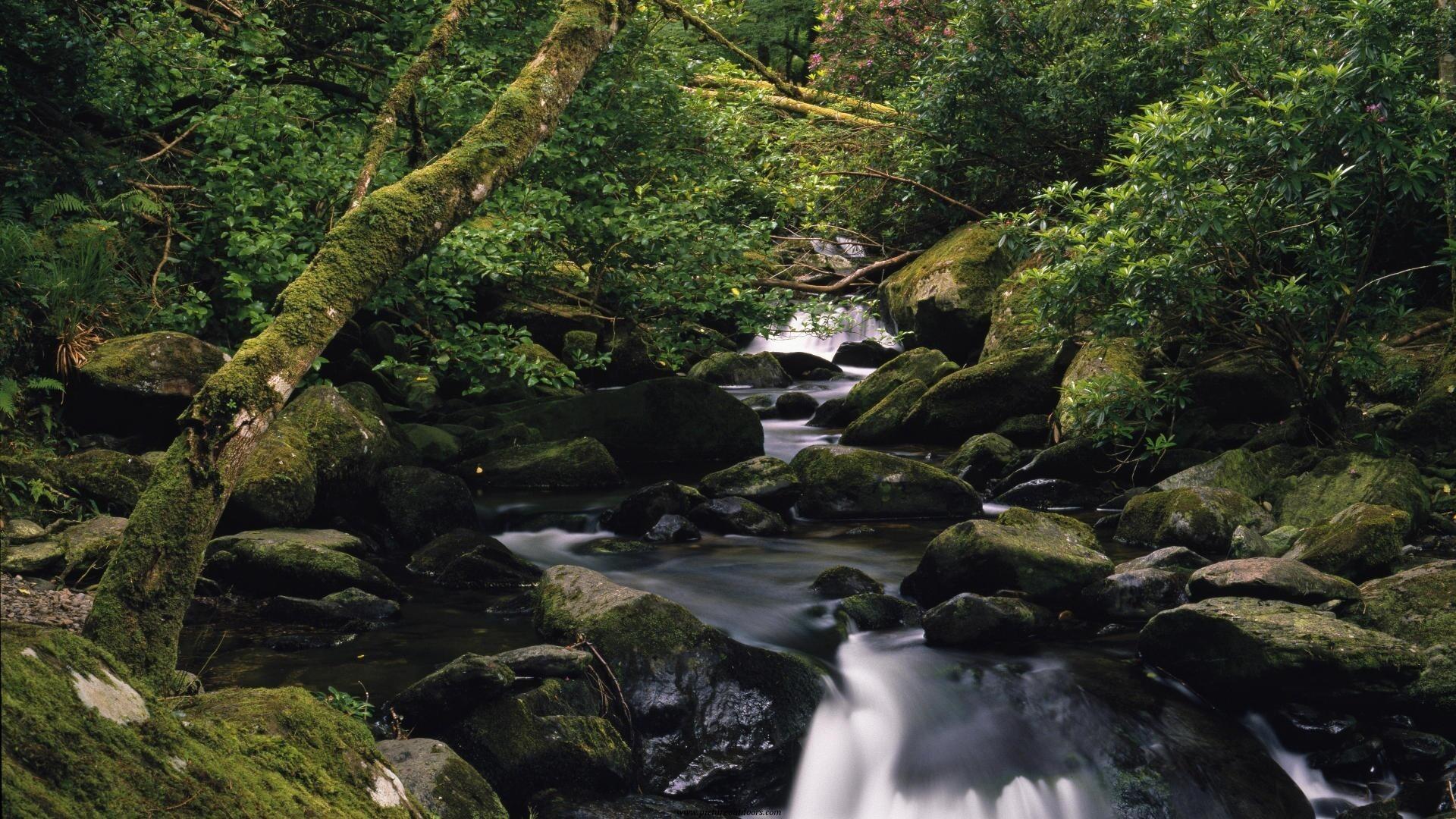 County Cork Ireland Wallpapers Top Free County Cork Ireland