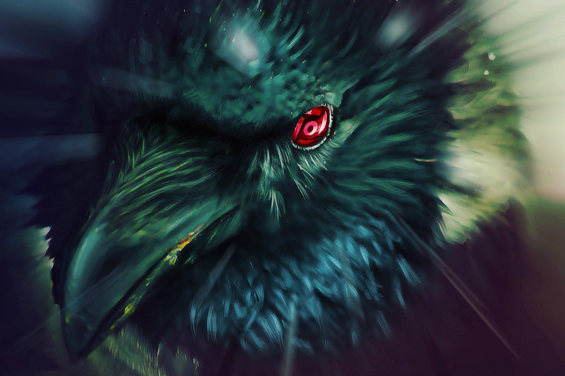1920x1278 Itachi's raven