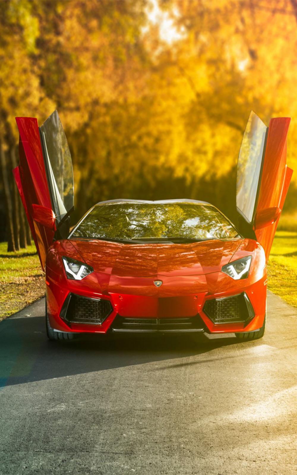 1000x1600 Red Lamborghini Aventador Roadster Free HD Mobile Wallpaper