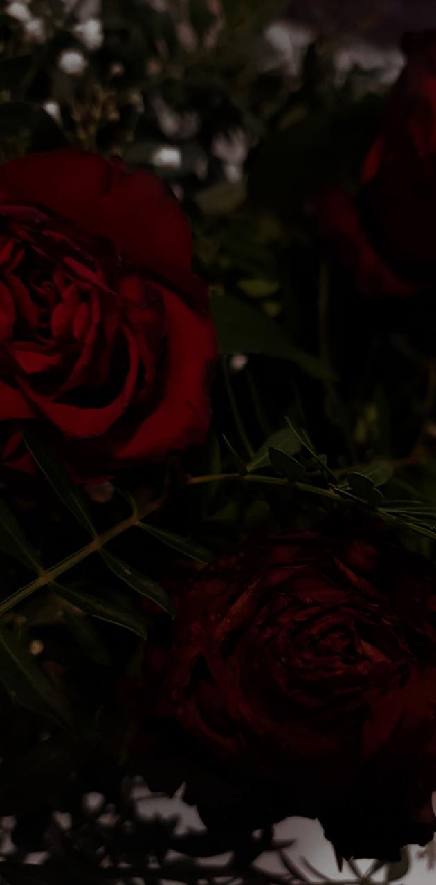 630x1280 Dark love wallpaper