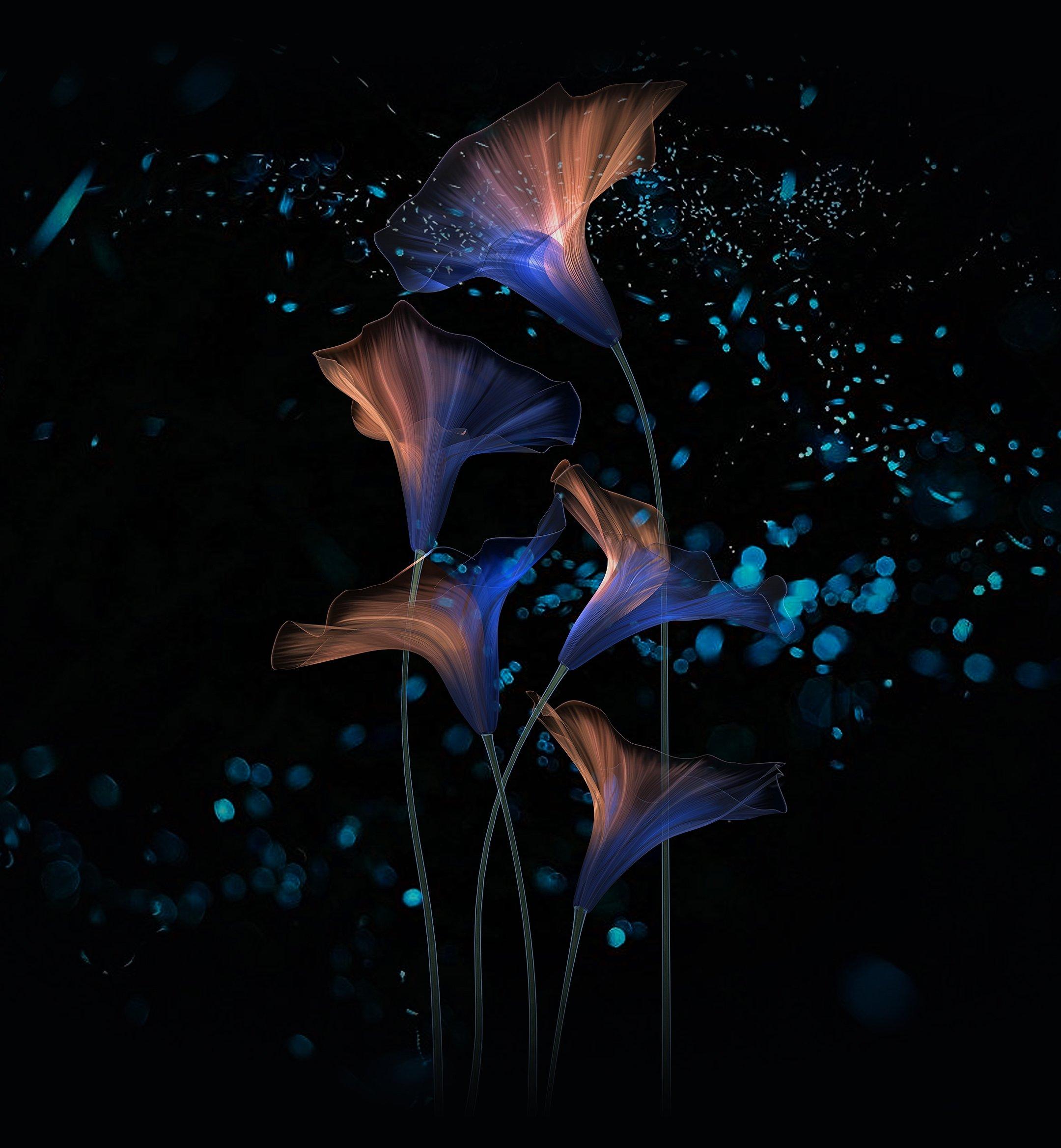 2160x2340 Honor Magic 2 Wallpaper, Themes and Live Wallpaper