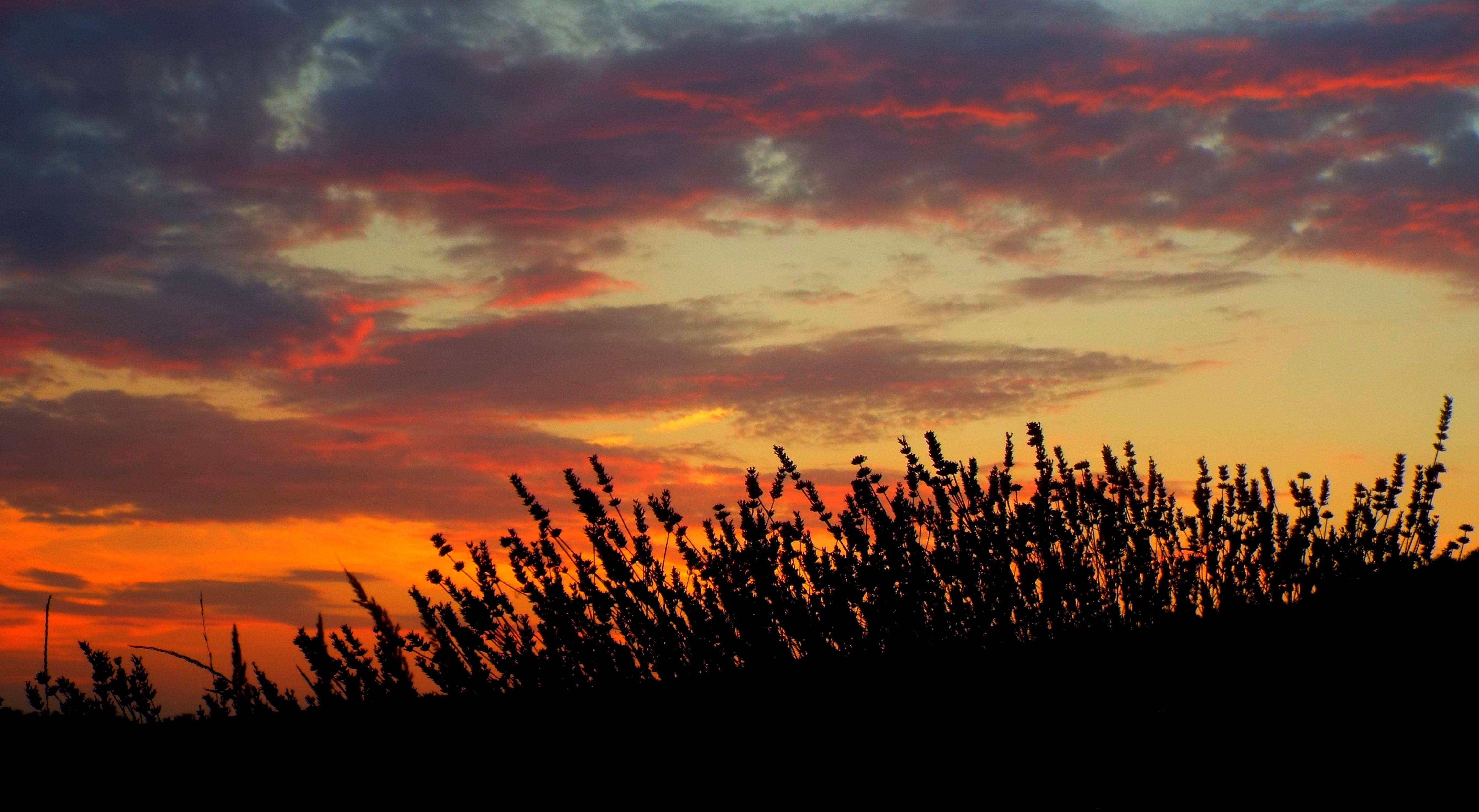 4573x2512 sunset, lavender, field Wallpaper, HD Nature 4K Wallpaper, Image, Photo and Background