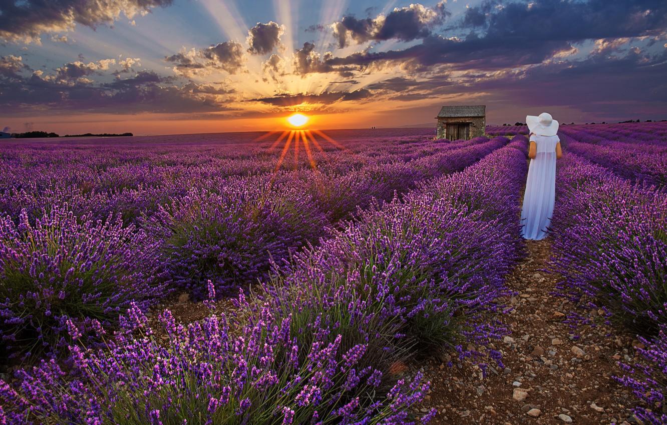 1332x850 Wallpaper sunset, woman, hat, white dress, lavender, lavender field image for desktop, section настроения