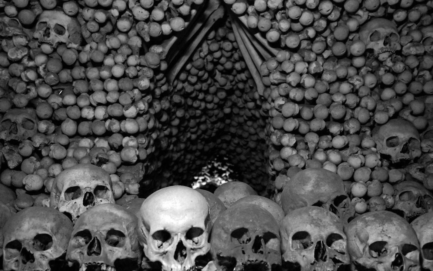 1440x900 Bones and skulls in the crypt Desktop wallpaper 1440x900