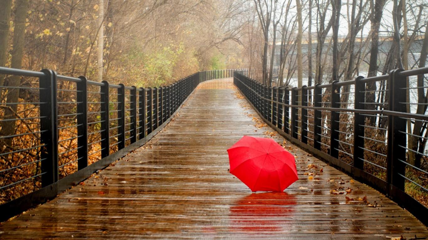 1366x768 Free download the rain rain forest image rain at beach screensavers etc [1440x900] for your Desktop, Mobile & Tablet. Explore Rainy Day Wallpaper. Rainy Day Wallpaper Widescreen, Stormy Day