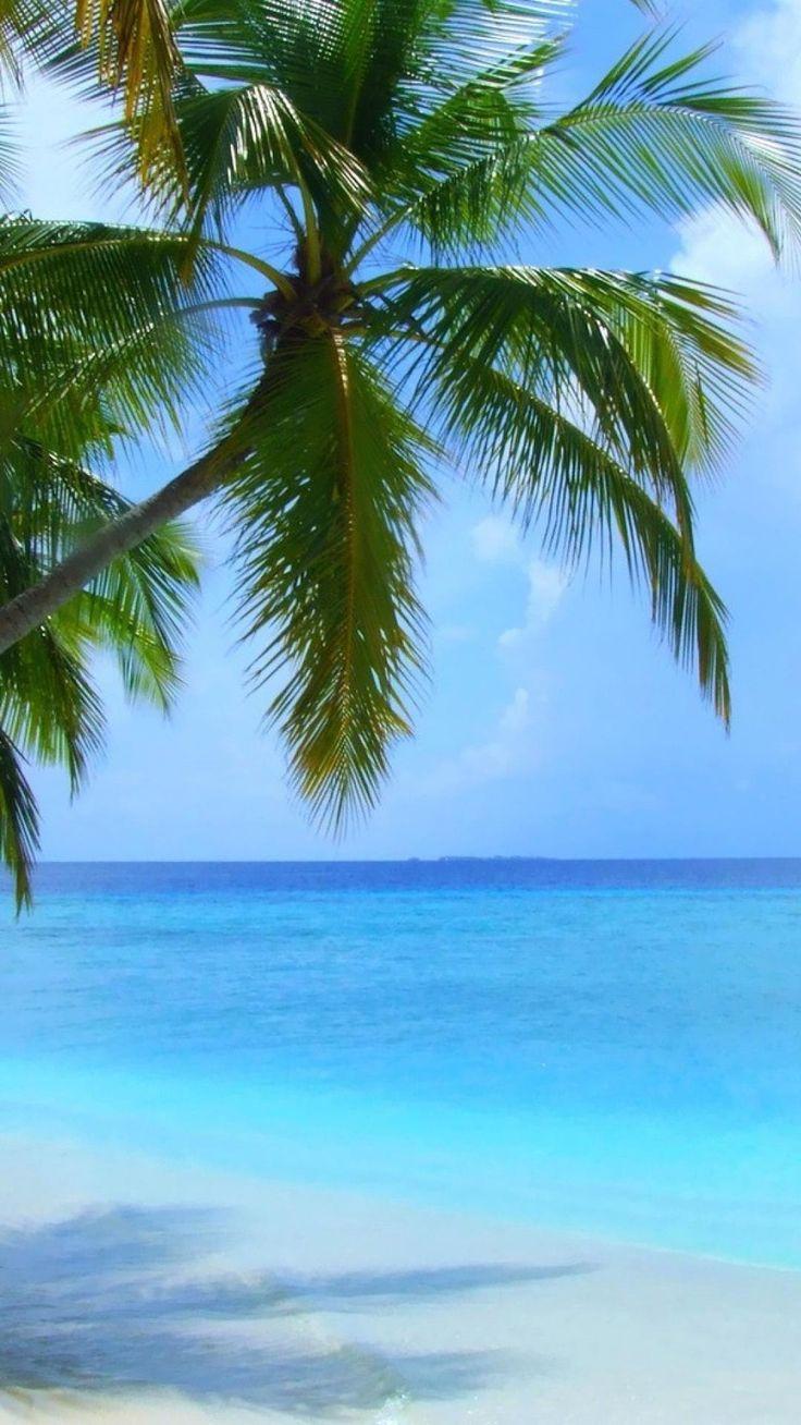736x1308 iPhone Xr Wallpaper 4k Beach. mywallpaper site. Beach wallpaper iphone, Beach wallpaper, Summer wallpaper phone