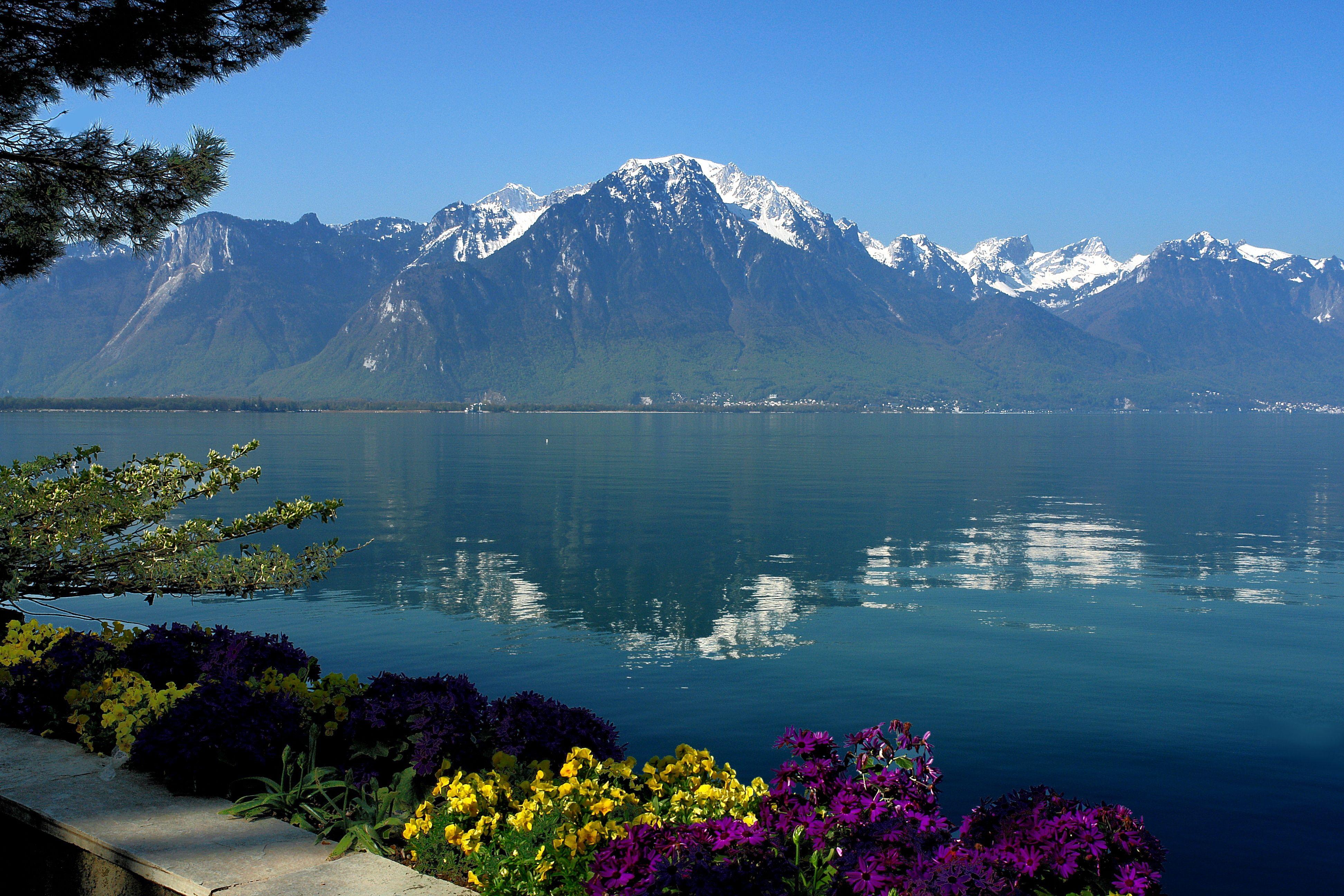 Swiss lake. Озеро Леман в Швейцарии. Озеро Женева Швейцария. Женевское озеро Леман. Тунское озеро Швейцария.