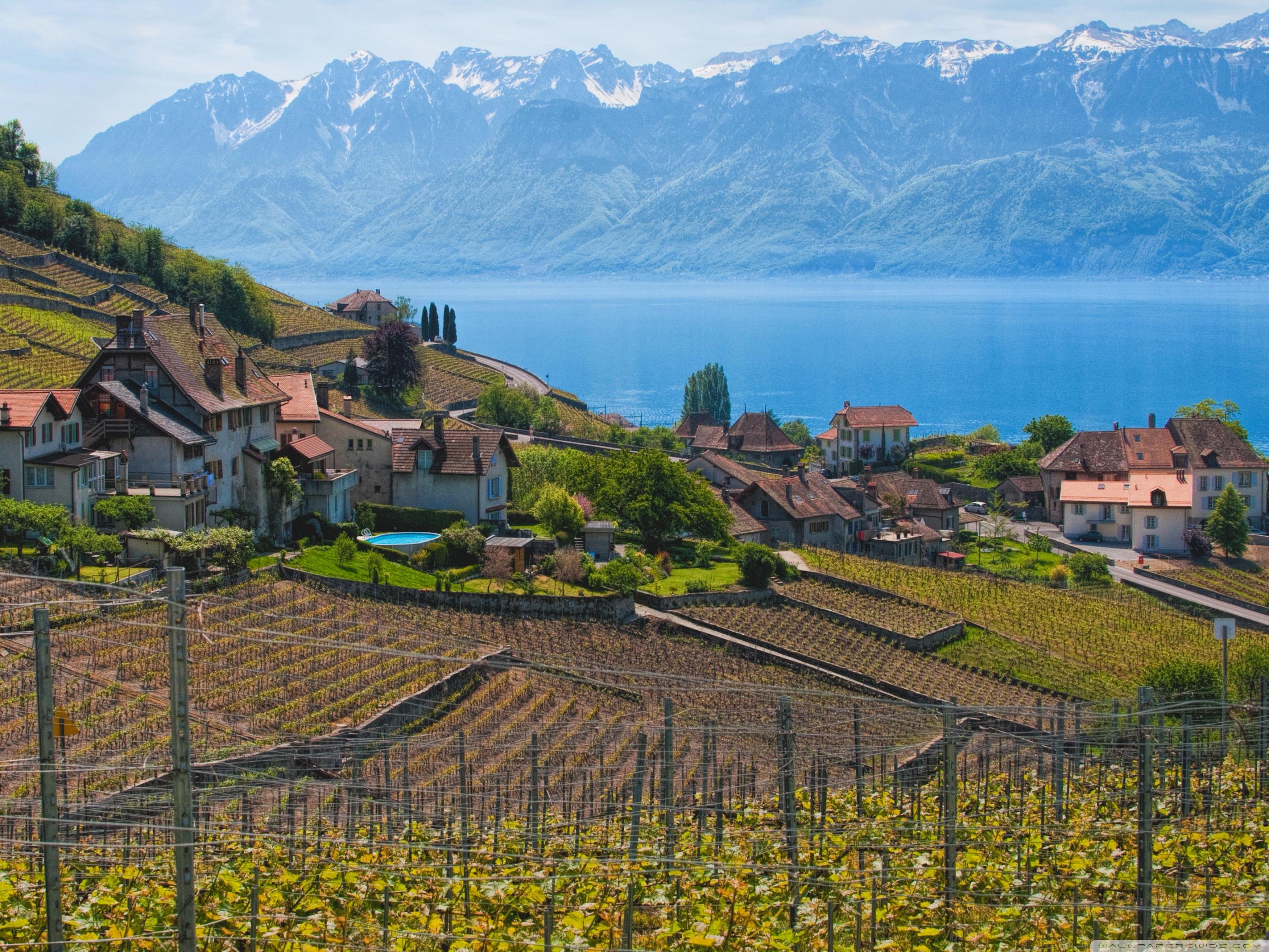 2800x2100 Lake Geneva, Switzerland Ultra HD Desktop Background Wallpaper for 4K UHD TV : Tablet