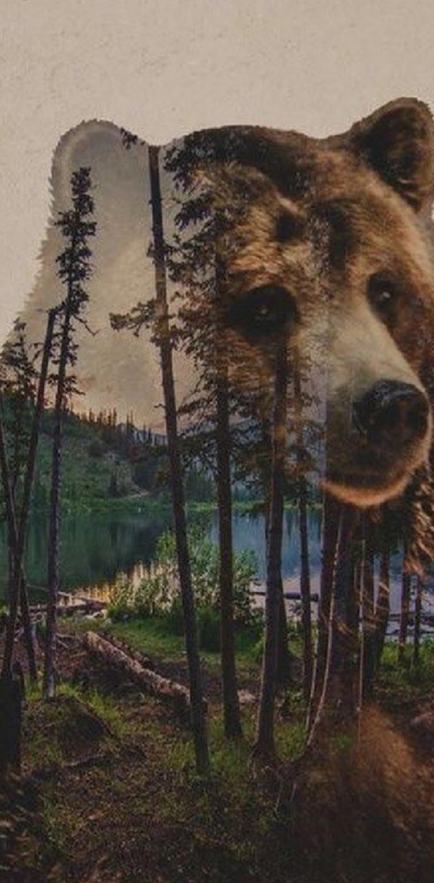 630x1280 Brown Bear wallpaper