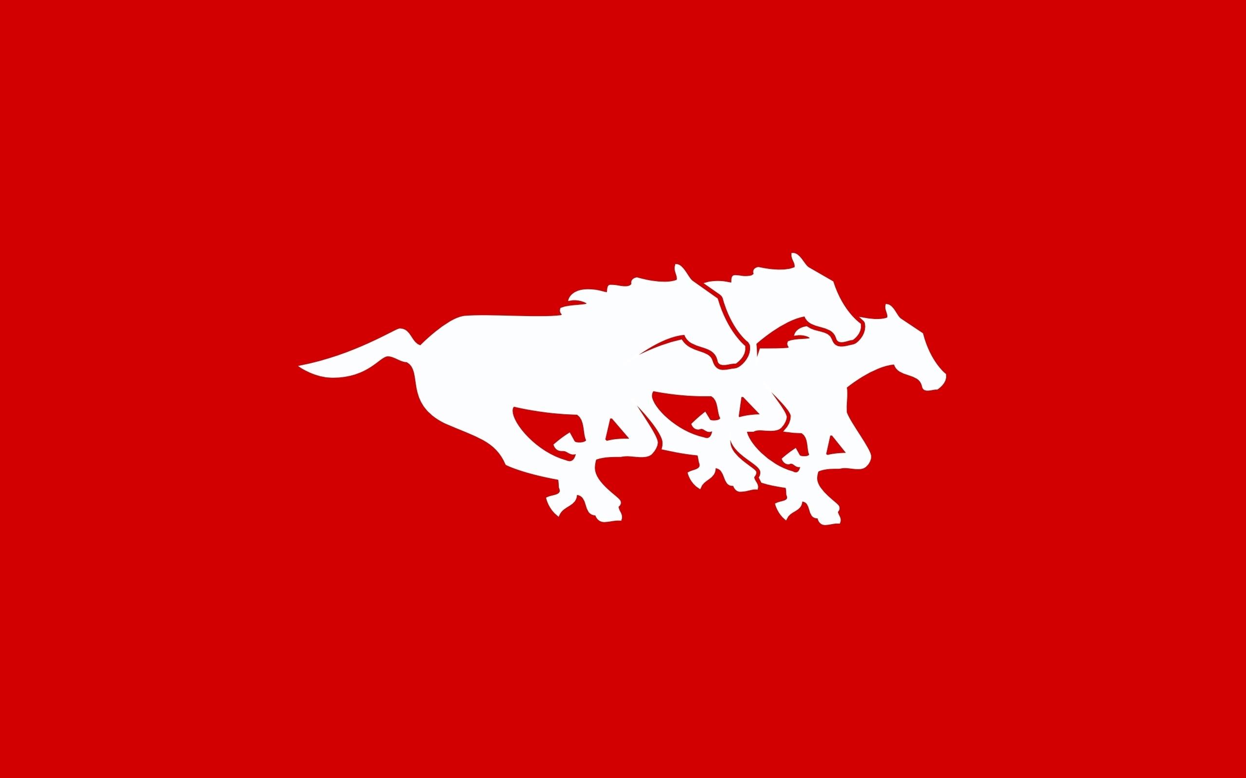 Calgary Stampeders Wallpapers Top Free Calgary Stampeders Backgrounds