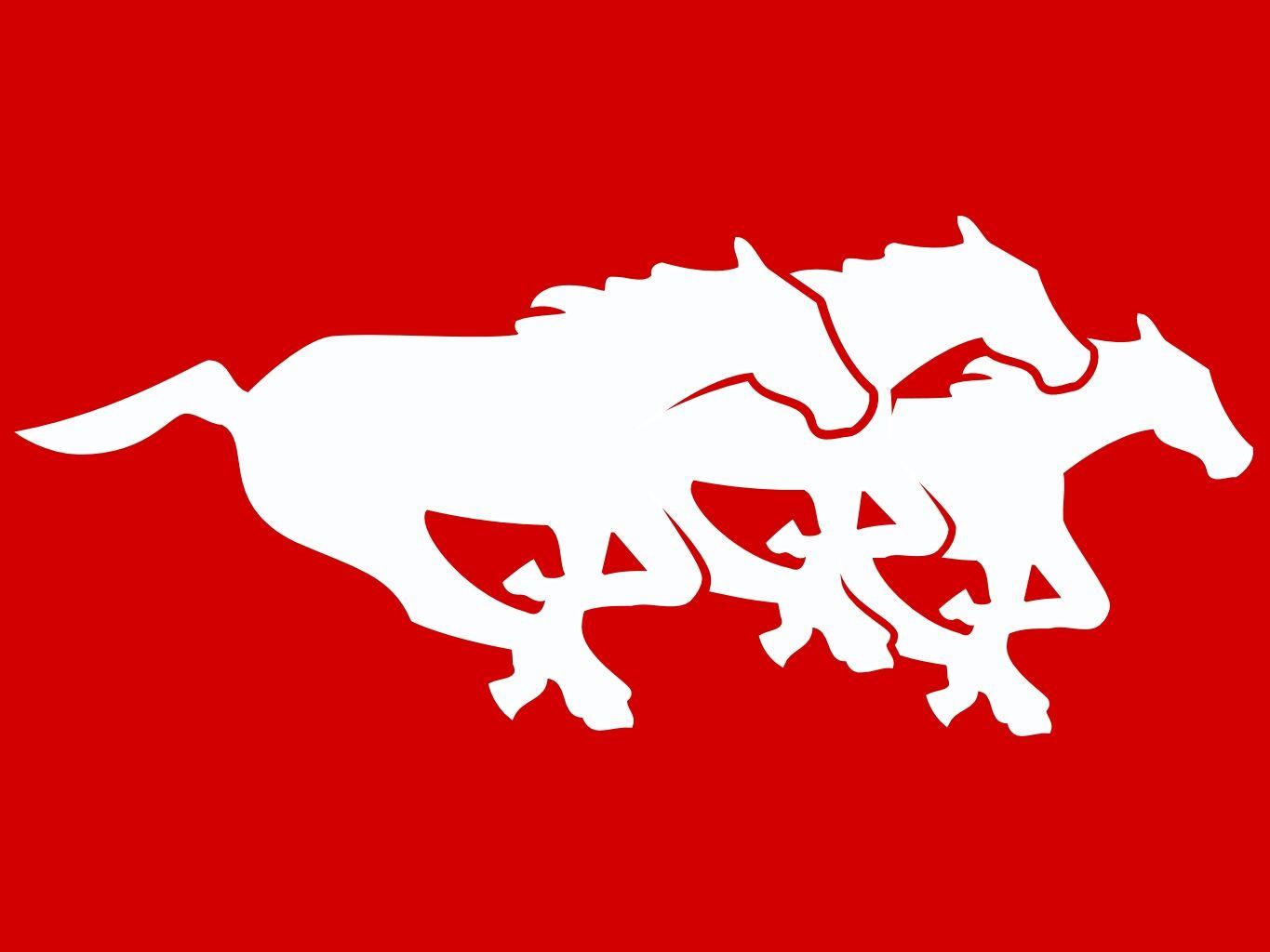 1365x1024 Calgary Stampeders. Pro Sports Teams
