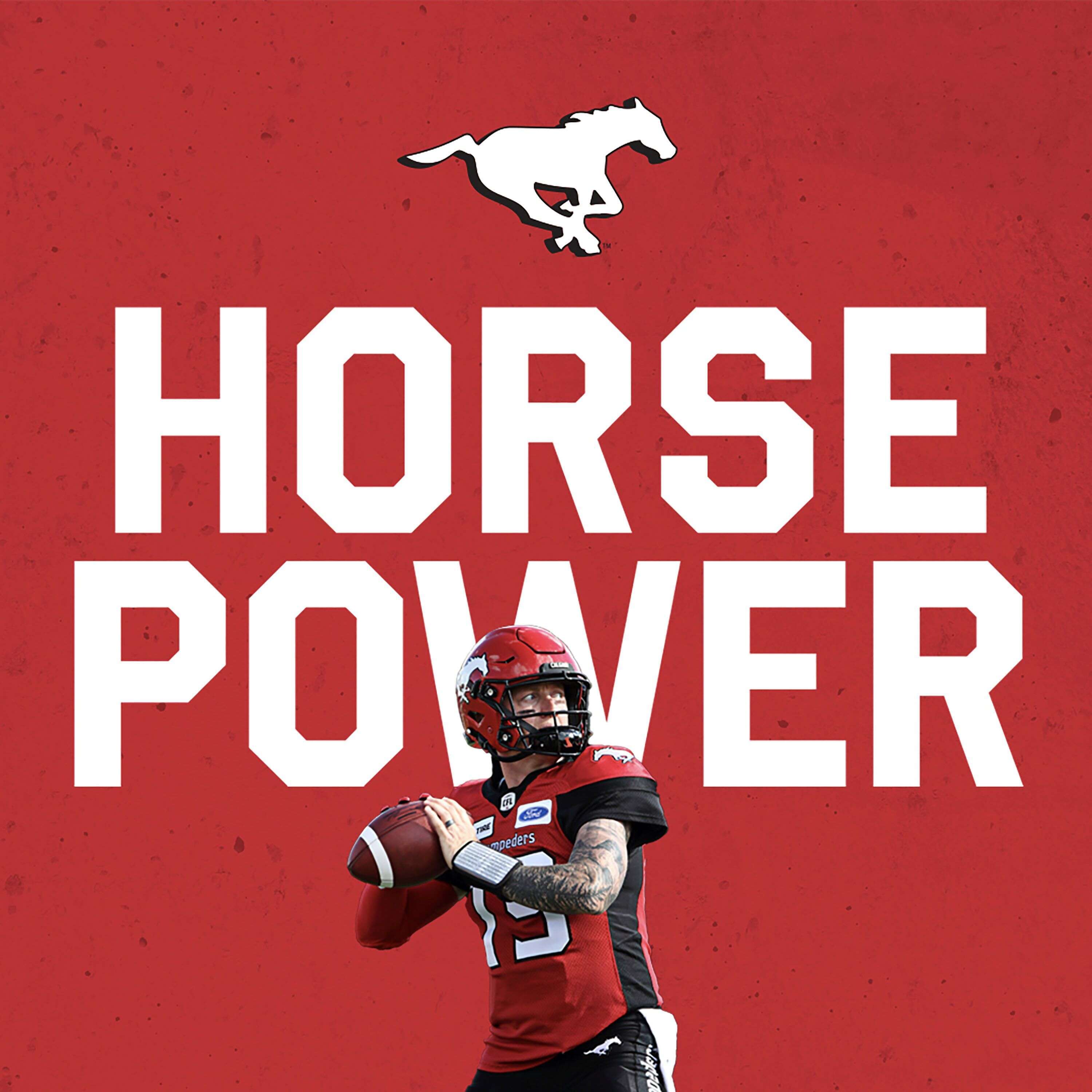 Calgary Stampeders Wallpapers Top Free Calgary Stampeders Backgrounds