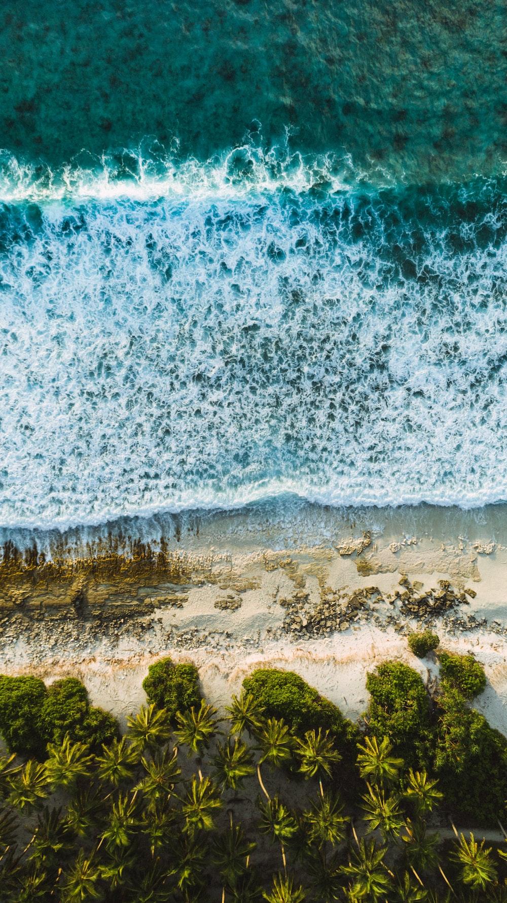 1000x1780 iPhone XR Wallpaper: Free HD Download [HQ]