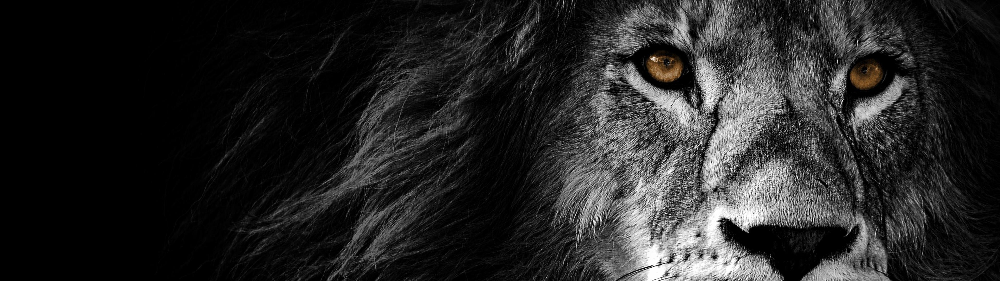 3840x1080 Dual Monitor HD Wallpaperx1080 Wallpaper