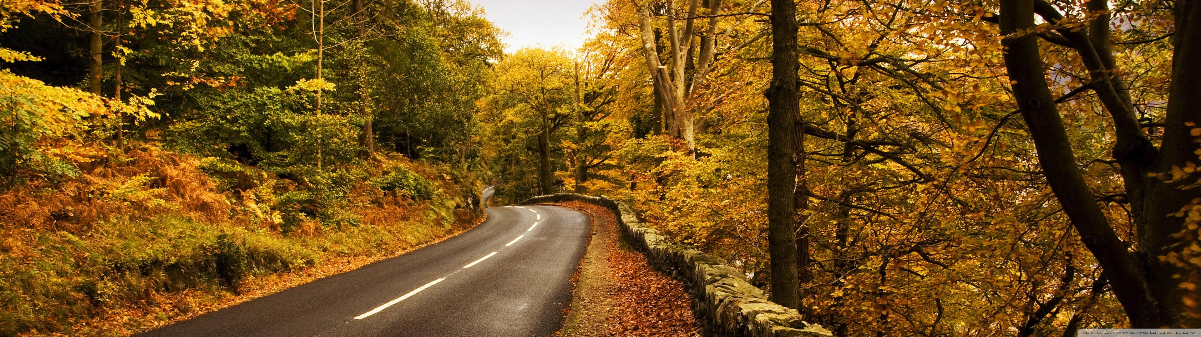 3840x1080 Autumn Road Ultra HD Desktop Background Wallpaper for 4K UHD TV : Multi Display, Dual Monitor : Tablet