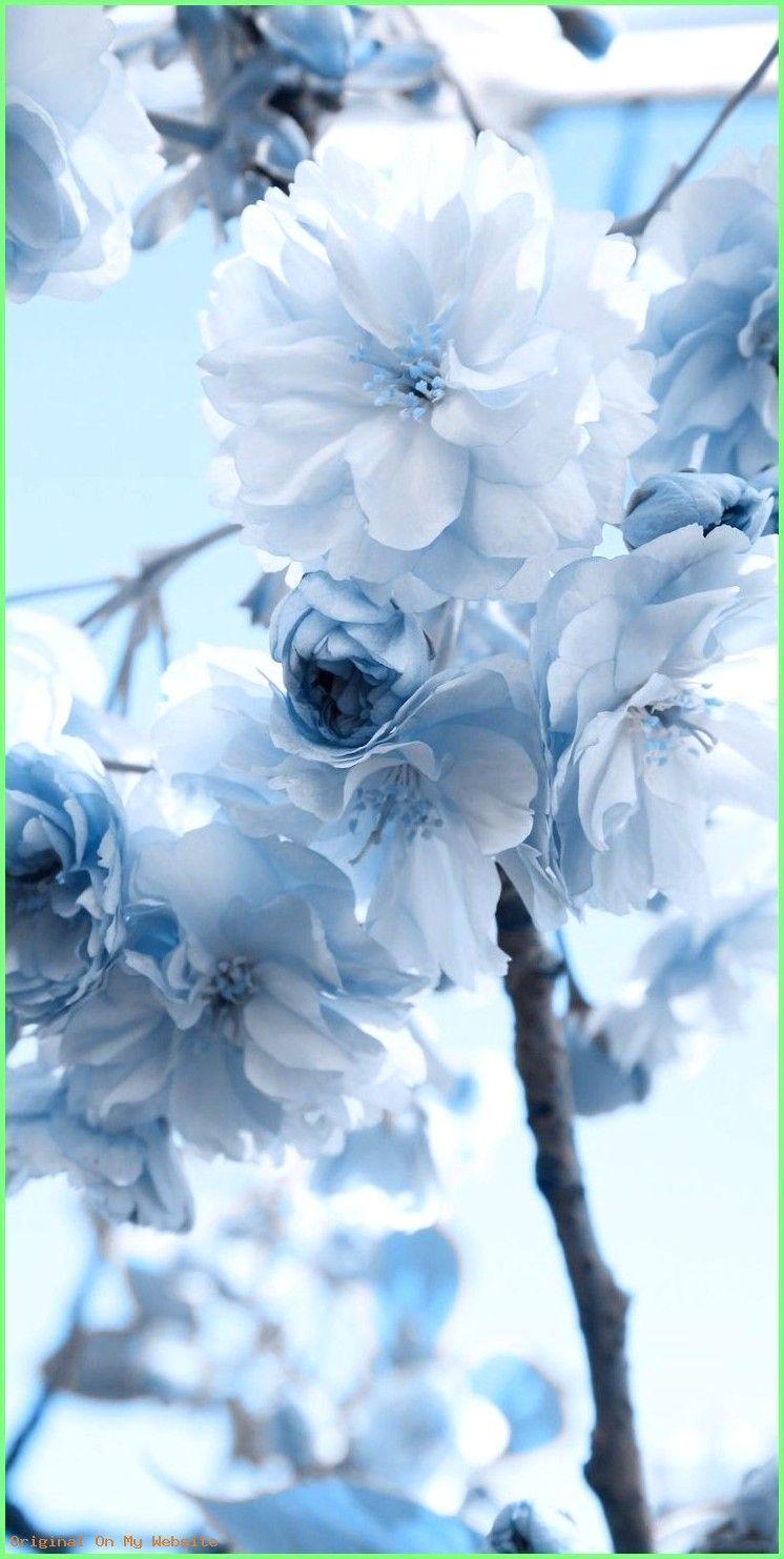 746x1482 Wallpaper iPhone Pastel flowers #backgroundpastel. Mavi sanat, Resim, Soyut çiçek resimleri