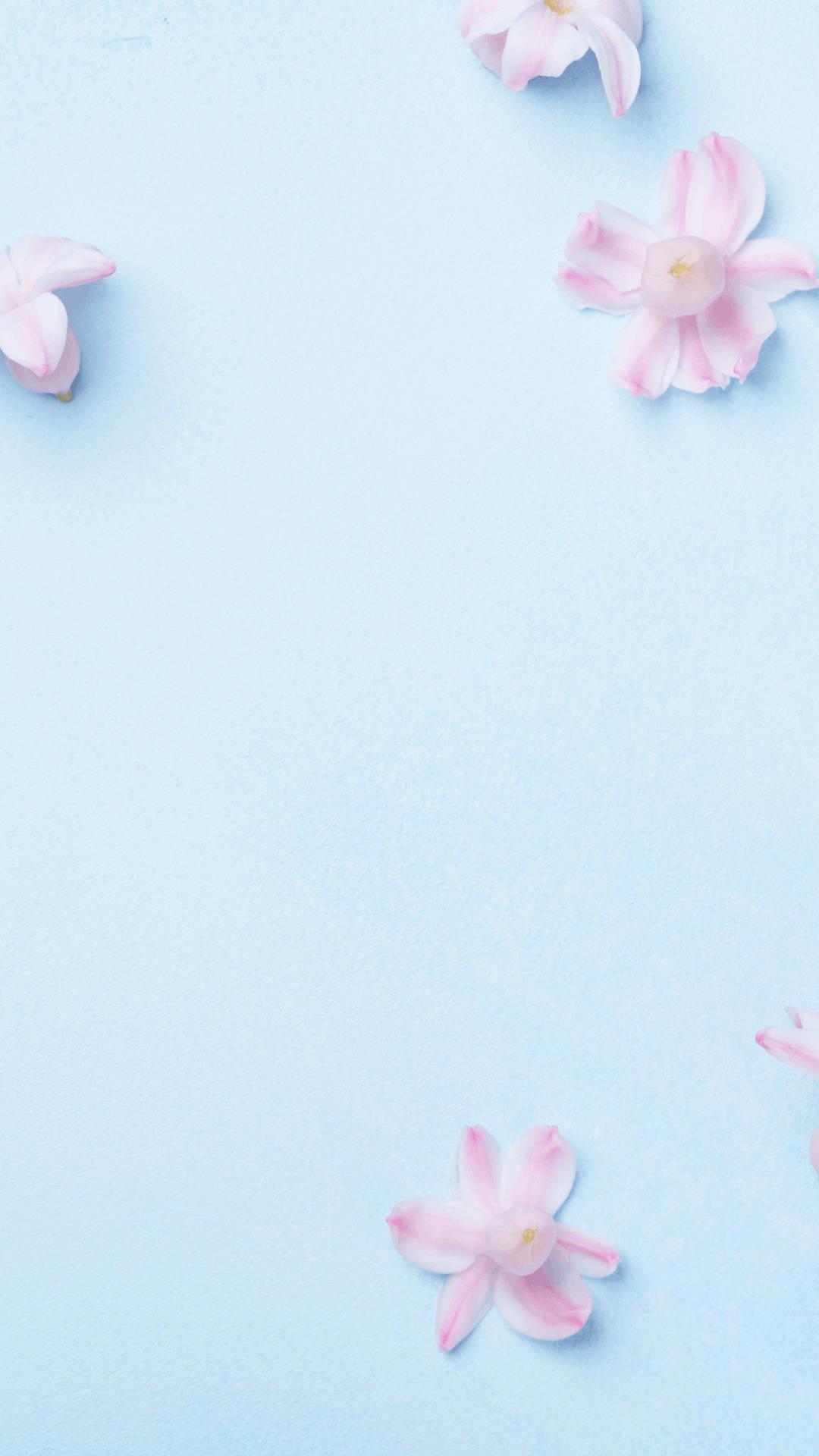 1080x1920 Download Light Blue Aesthetic Pink Flower Wallpaper