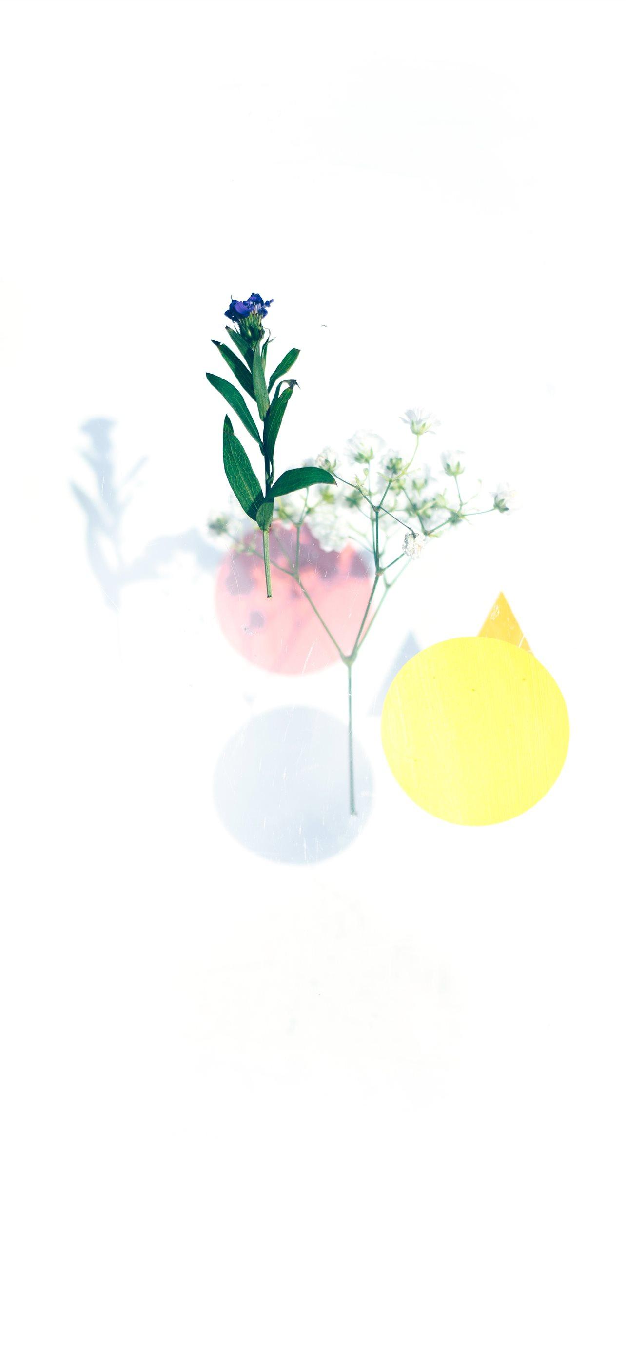 1284x2778 blue and yellow moon and purple flowers iPhone Wallpaper Free Download