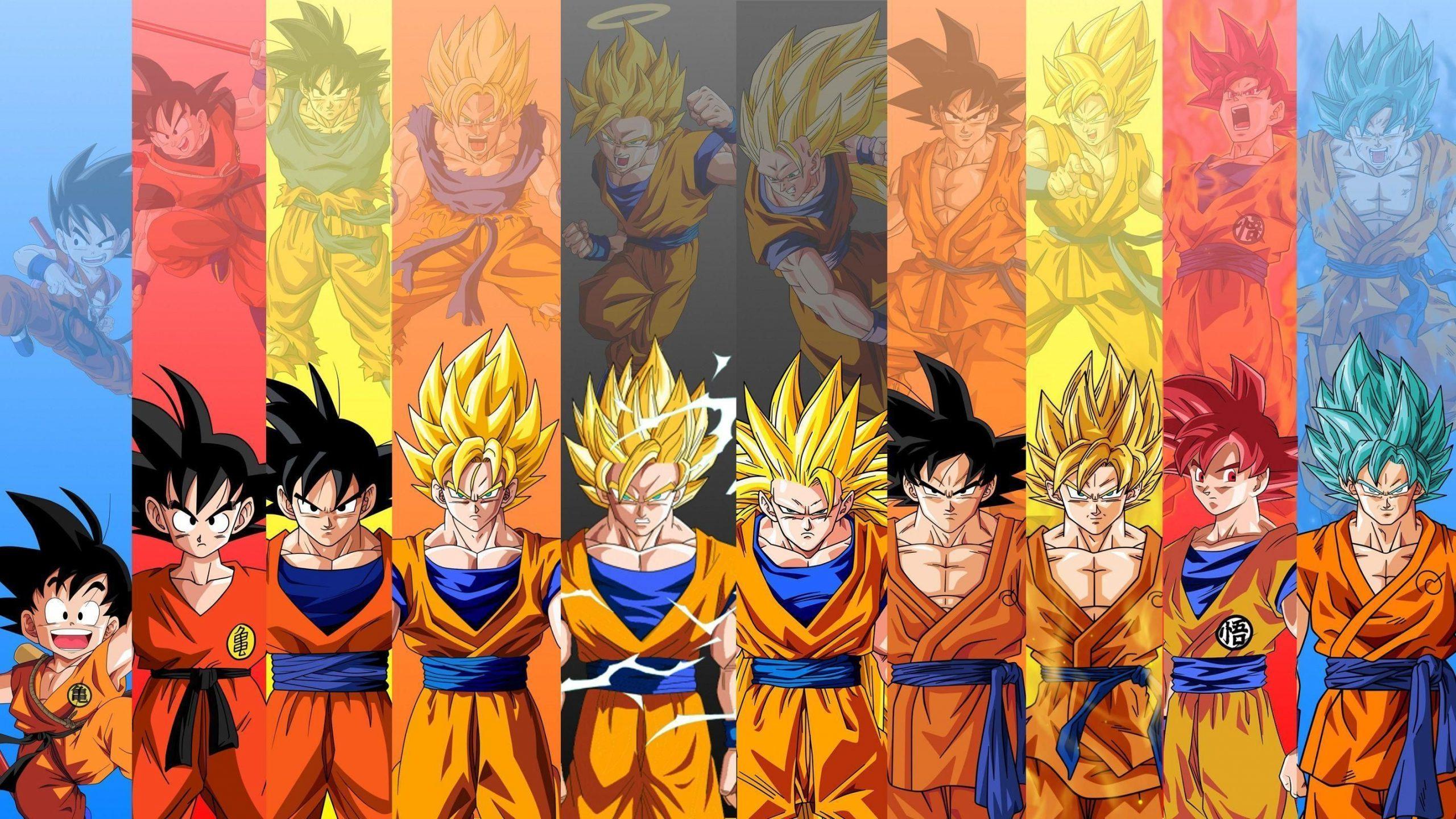 2560x1440 Desktop Dragon Ball Z Wallpaper
