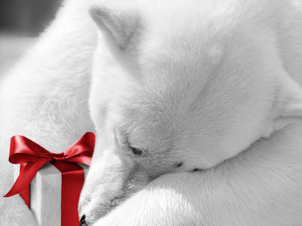 1024x768 News, Photo: Christmas wallpaper: Christmas Tree, Santa Claus