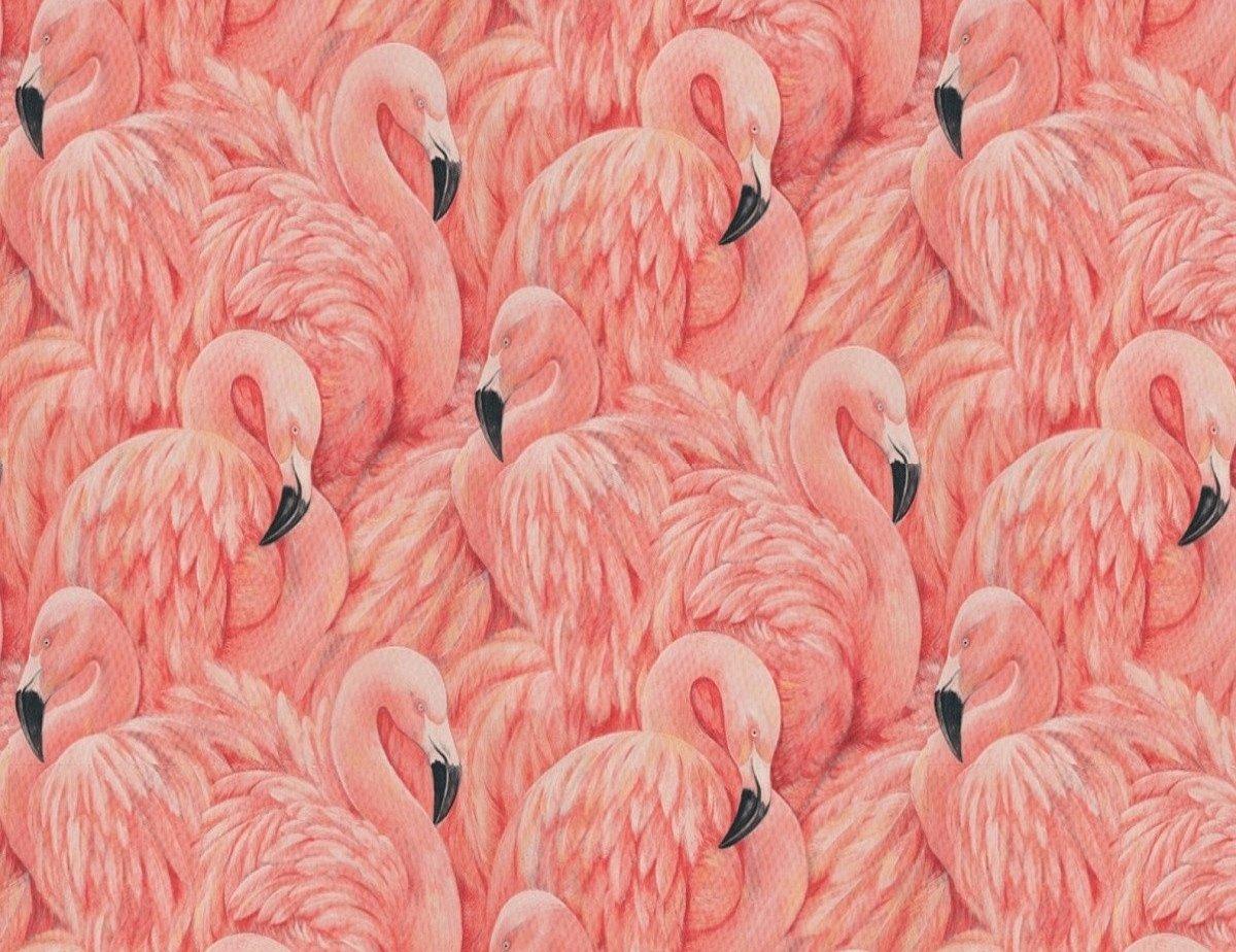 1200x924 Large Flamingo Wallpaper. The Alley Exchange Alley Exchange, Inc