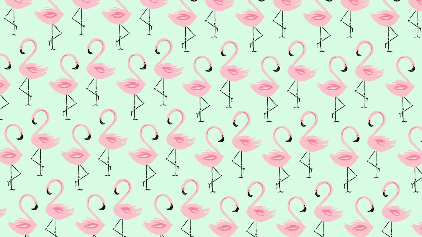 1600x900 Free download June Flamingo Digital Wallpaper [2800x1736] for your Desktop, Mobile & Tablet. Explore May Designs Wallpaper. Desktop Wallpaper Designs, May Background Wallpaper, May Designs Desktop Wallpaper
