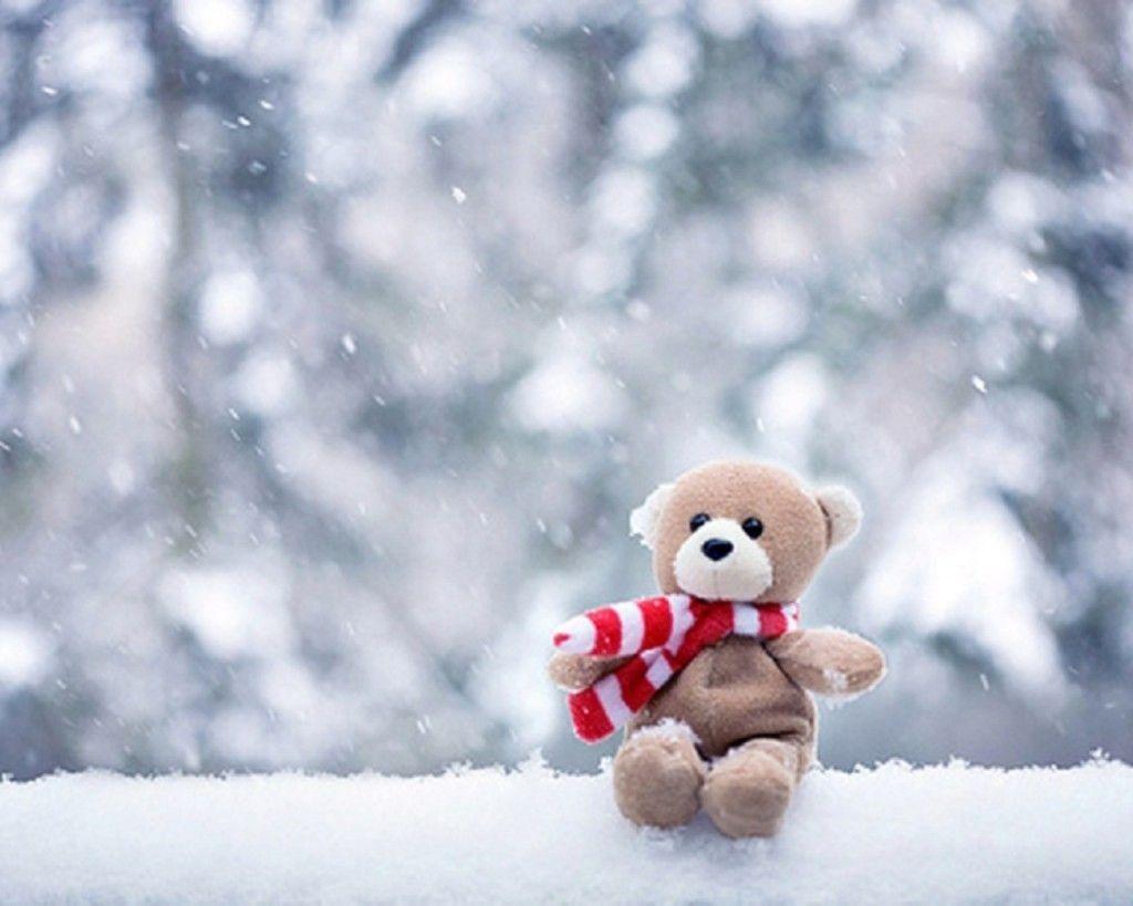 1024x819 Christmas Polar Bear Wallpaper HD Awesome Download Animated 240x320