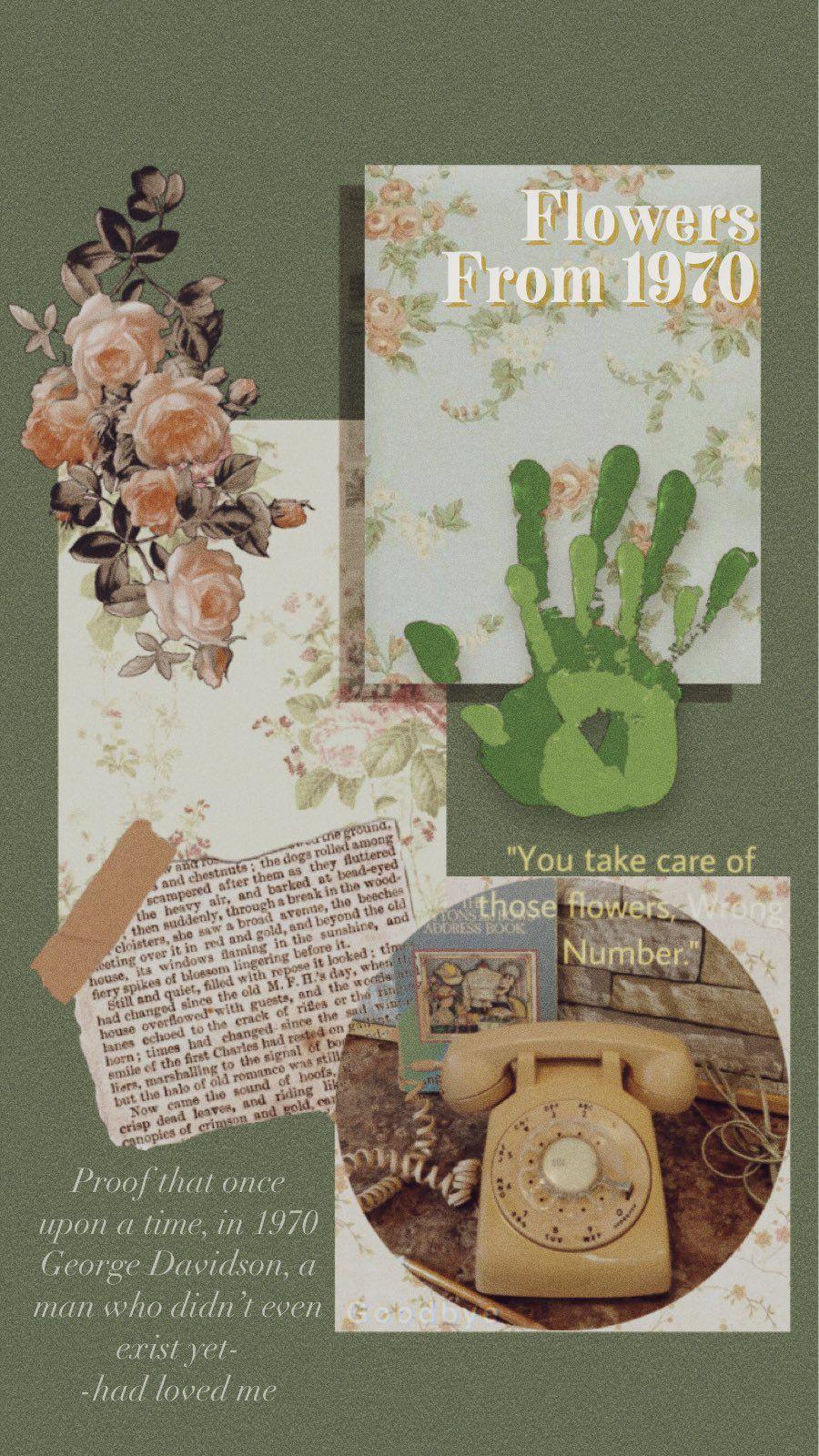 Flowers From 1970 Wallpapers Top Free Flowers From 1970 Backgrounds