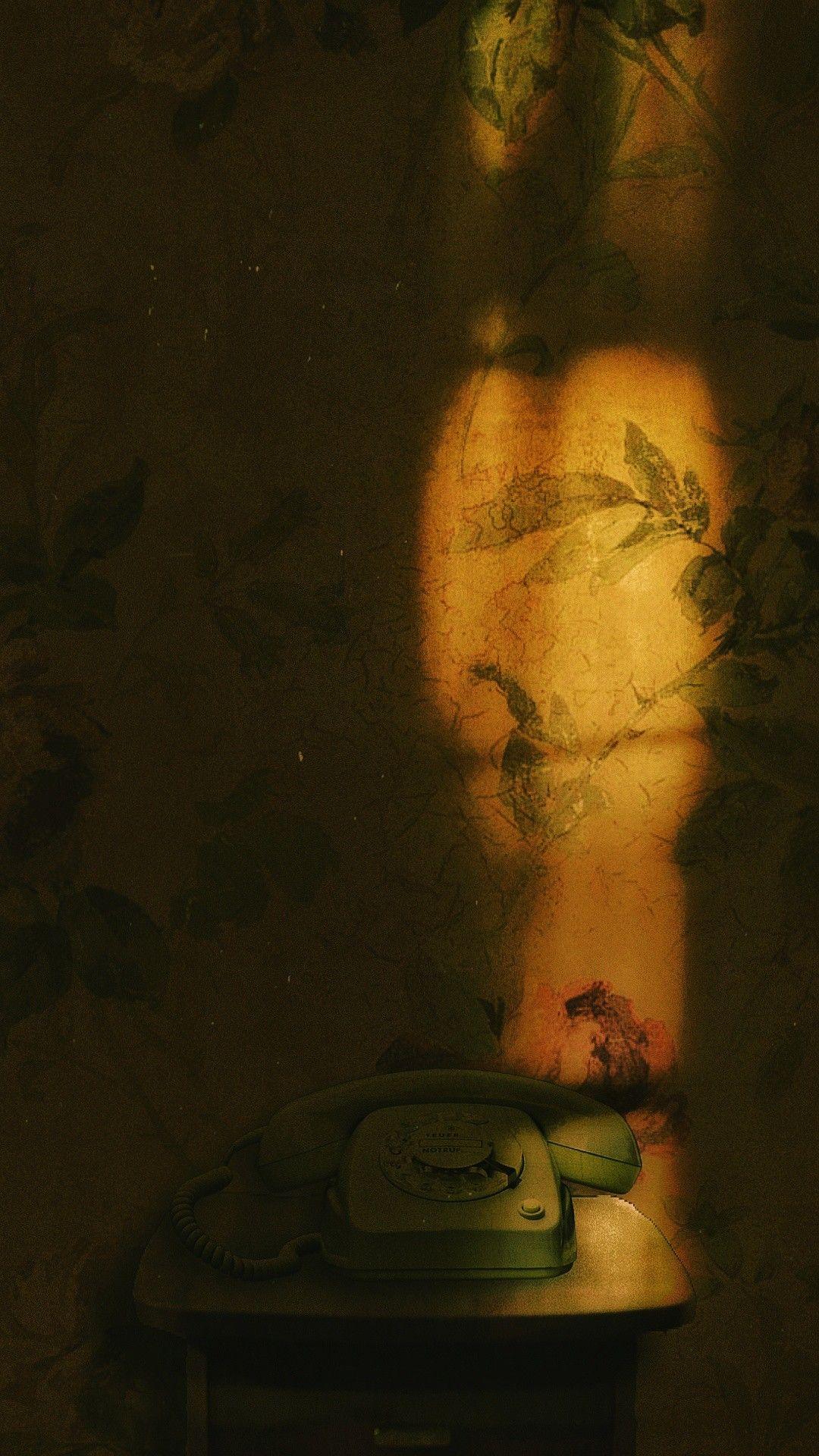 Flowers From 1970 Wallpapers Top Free Flowers From 1970 Backgrounds