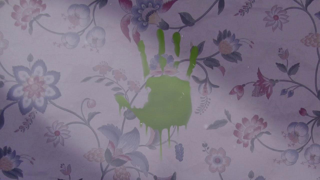 Flowers From 1970 Wallpapers Top Free Flowers From 1970 Backgrounds