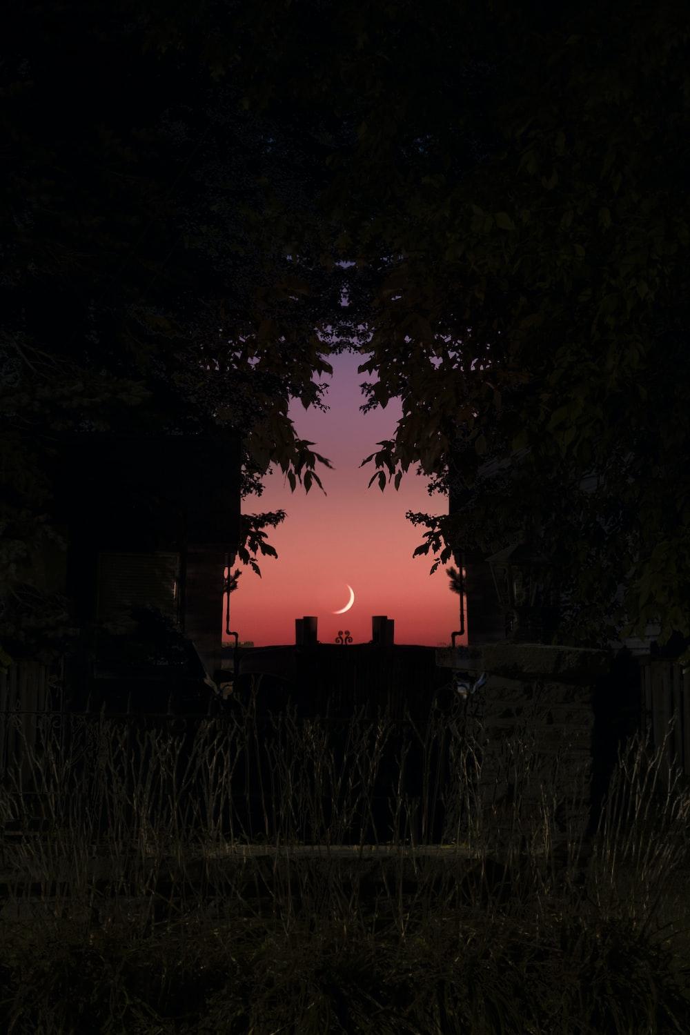 Call of the Night Wallpapers - Top Free Call of the Night Backgrounds